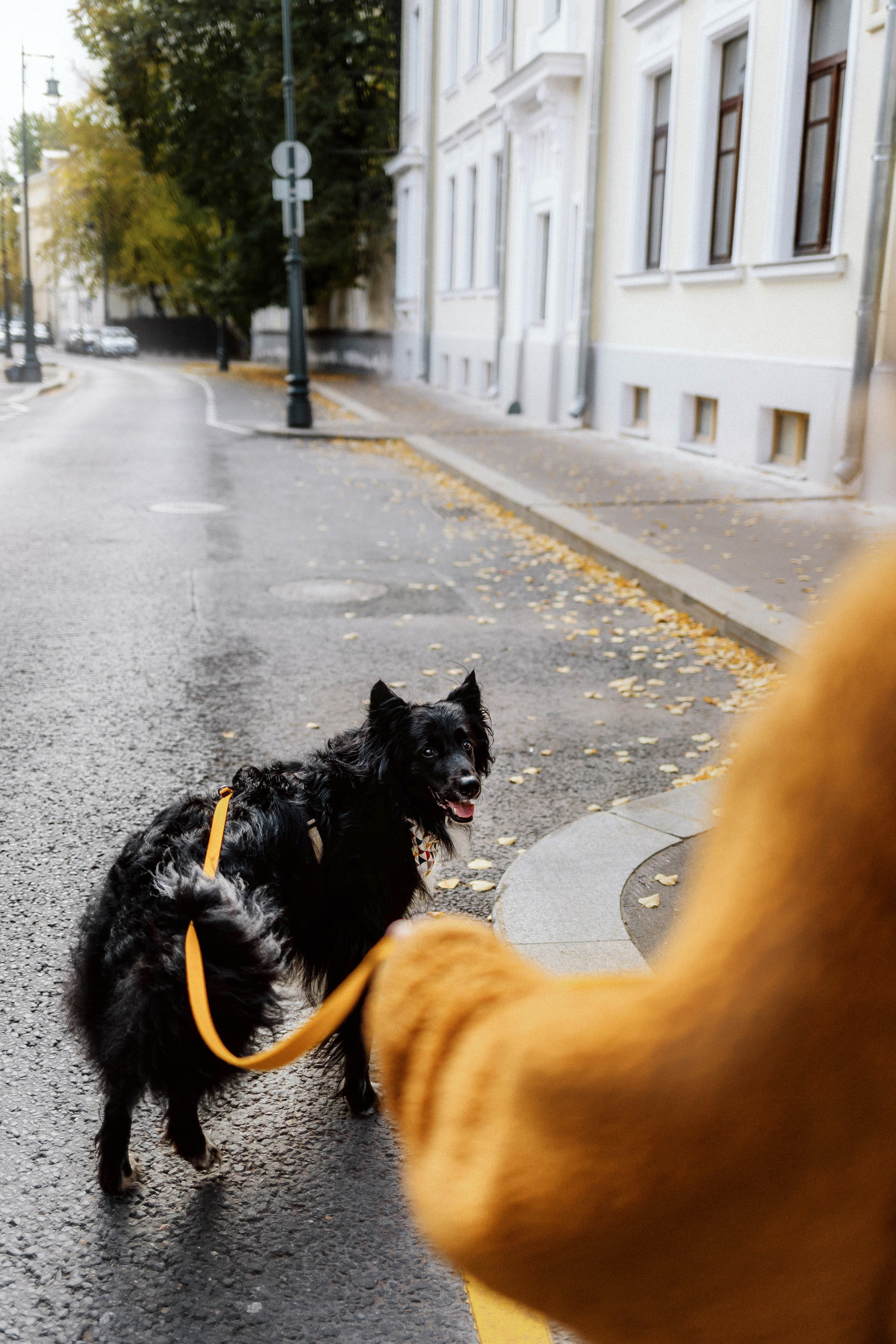 Диана и Чили