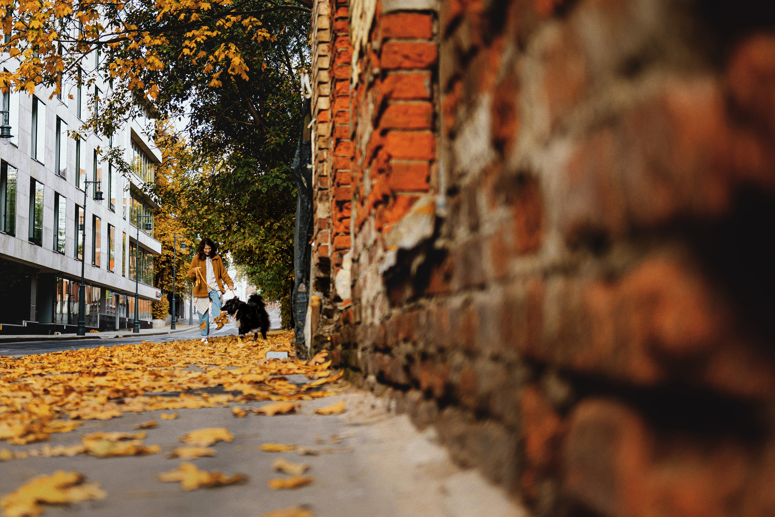 Диана и Чили