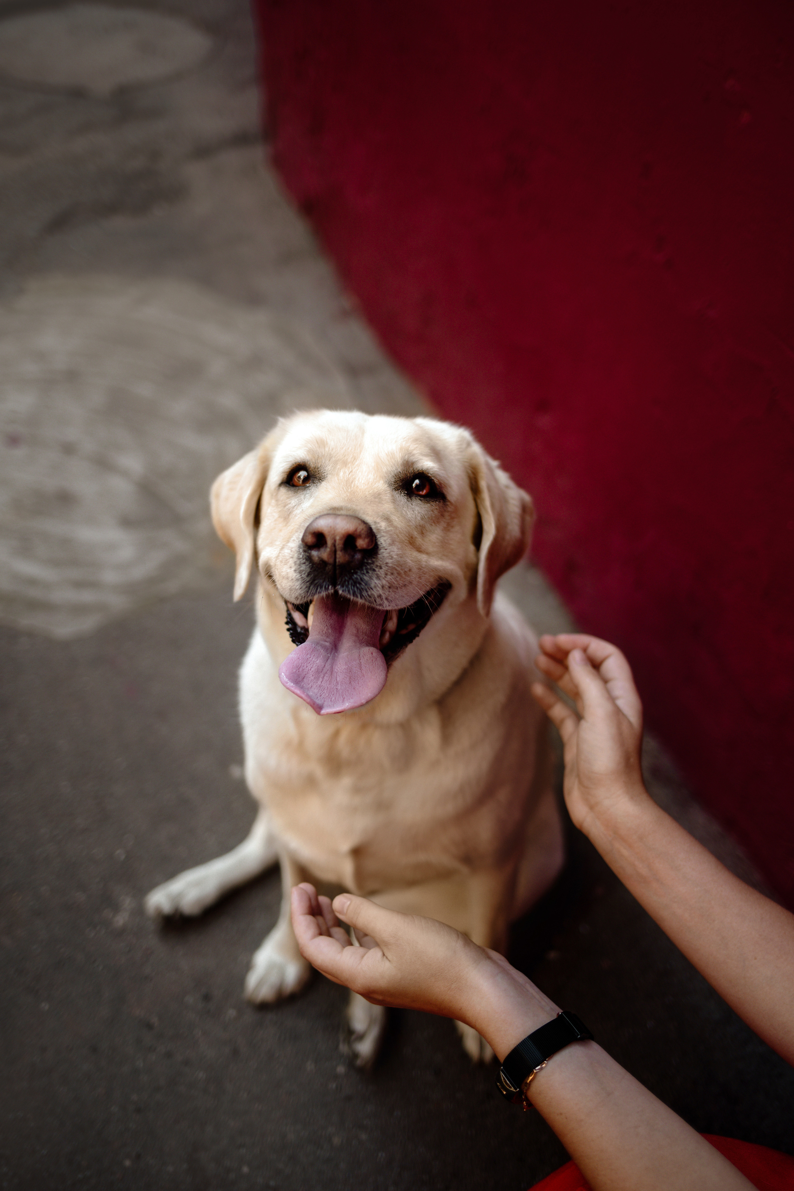 Настя и Мэри