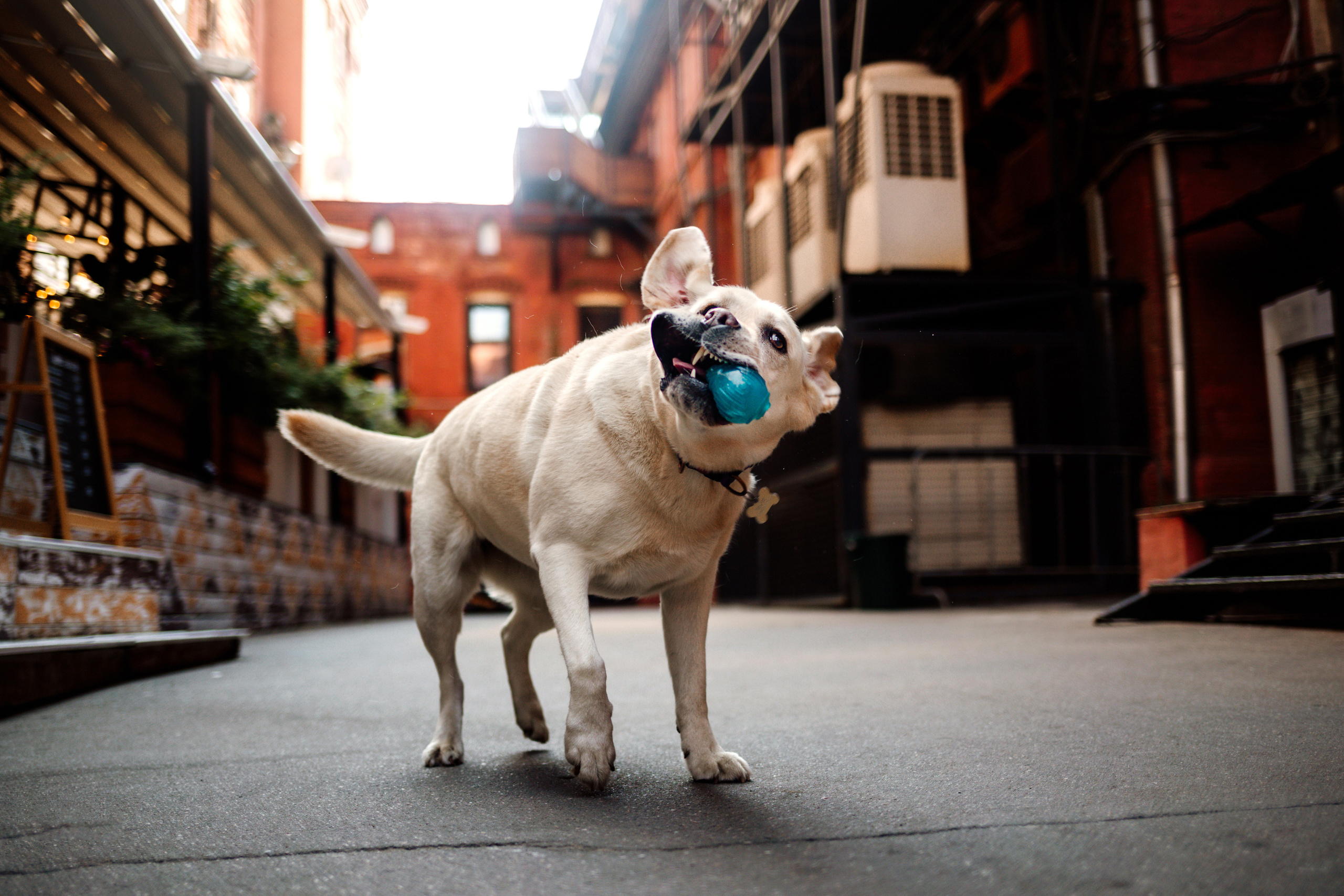 Настя и Мэри