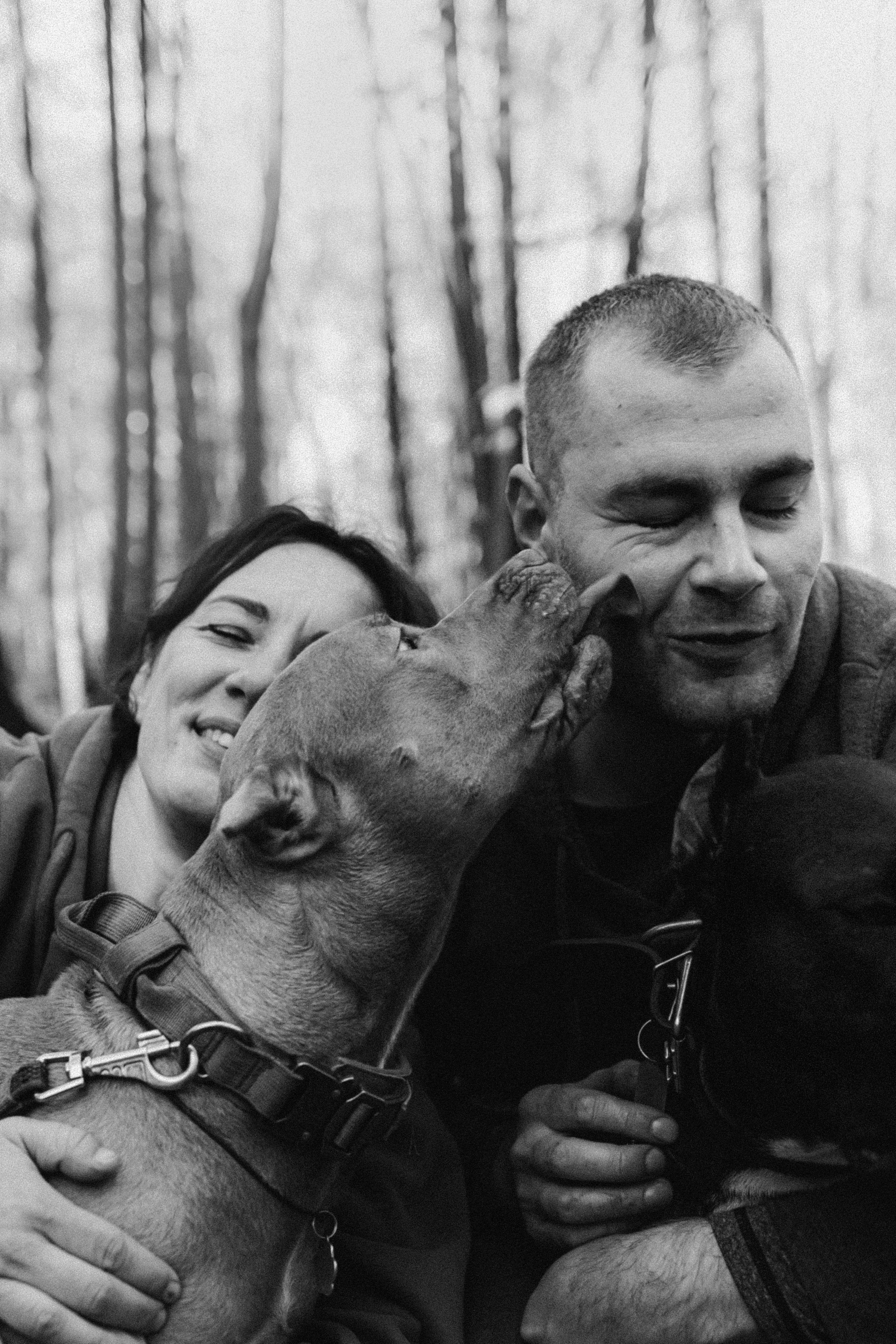 Фотосессия с собаками Камю и Афина в Москве