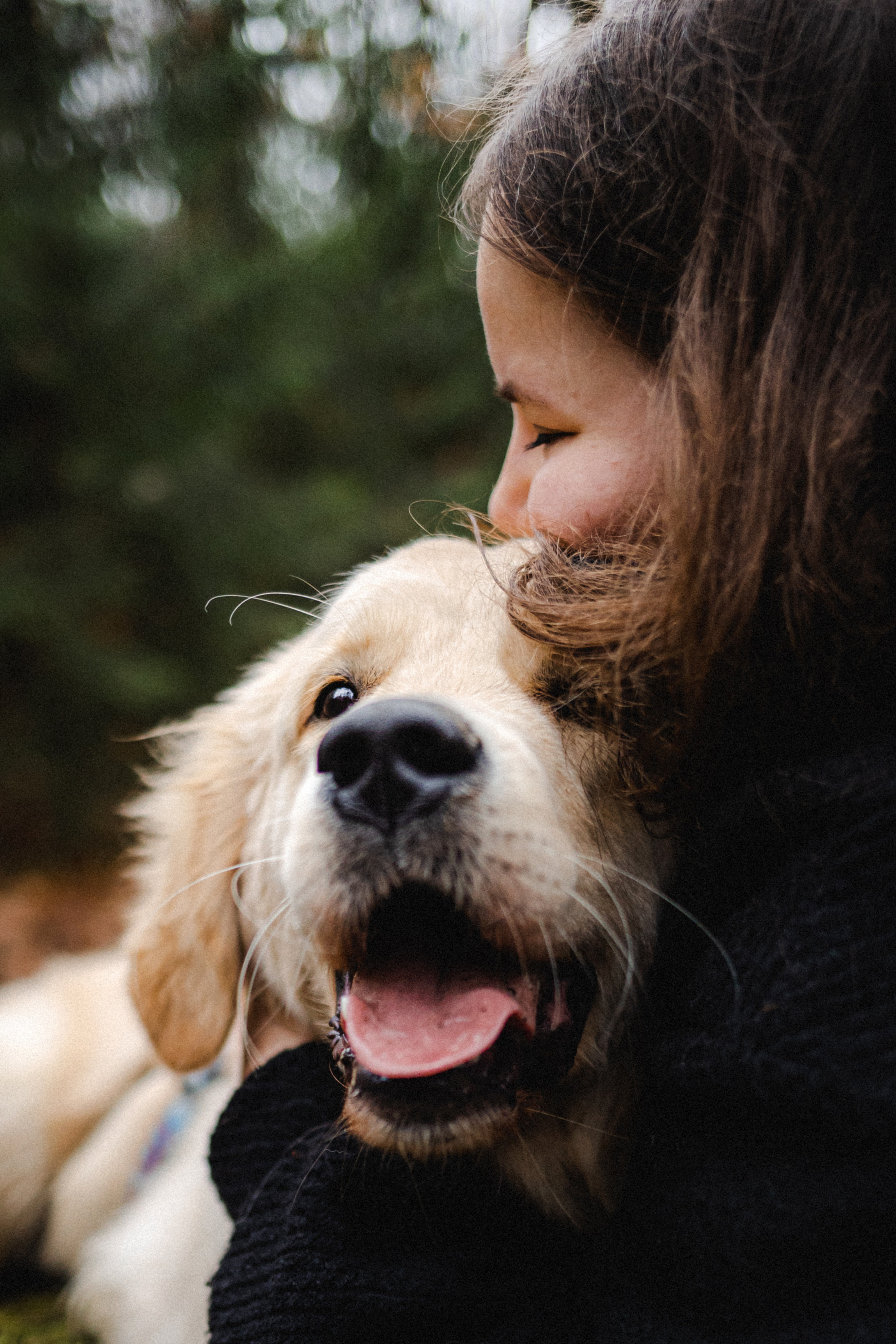 Фотосессия с собакой Гринч в Москве