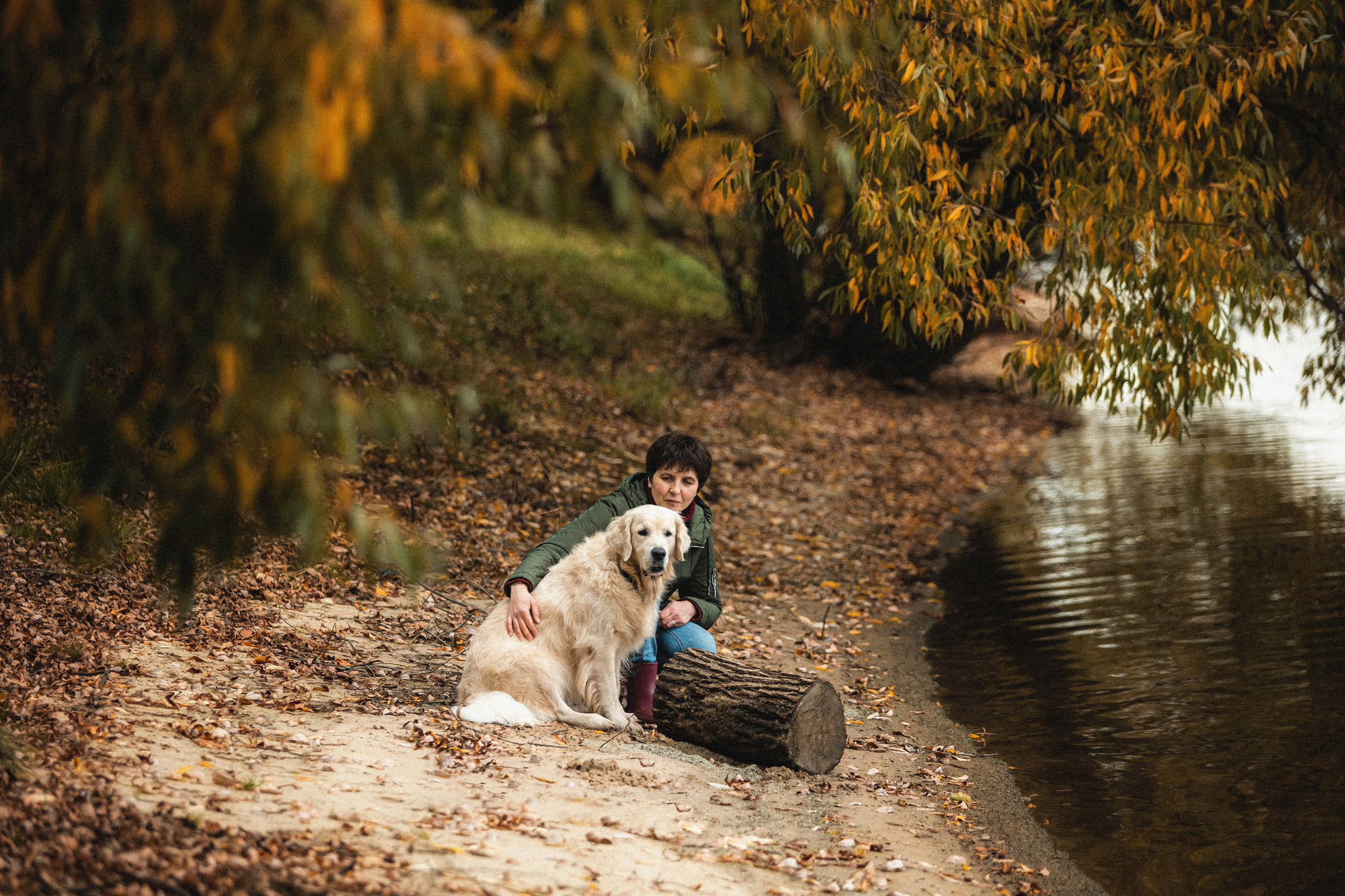 Фотосессия с золотистым ретривером Мартином в Москве