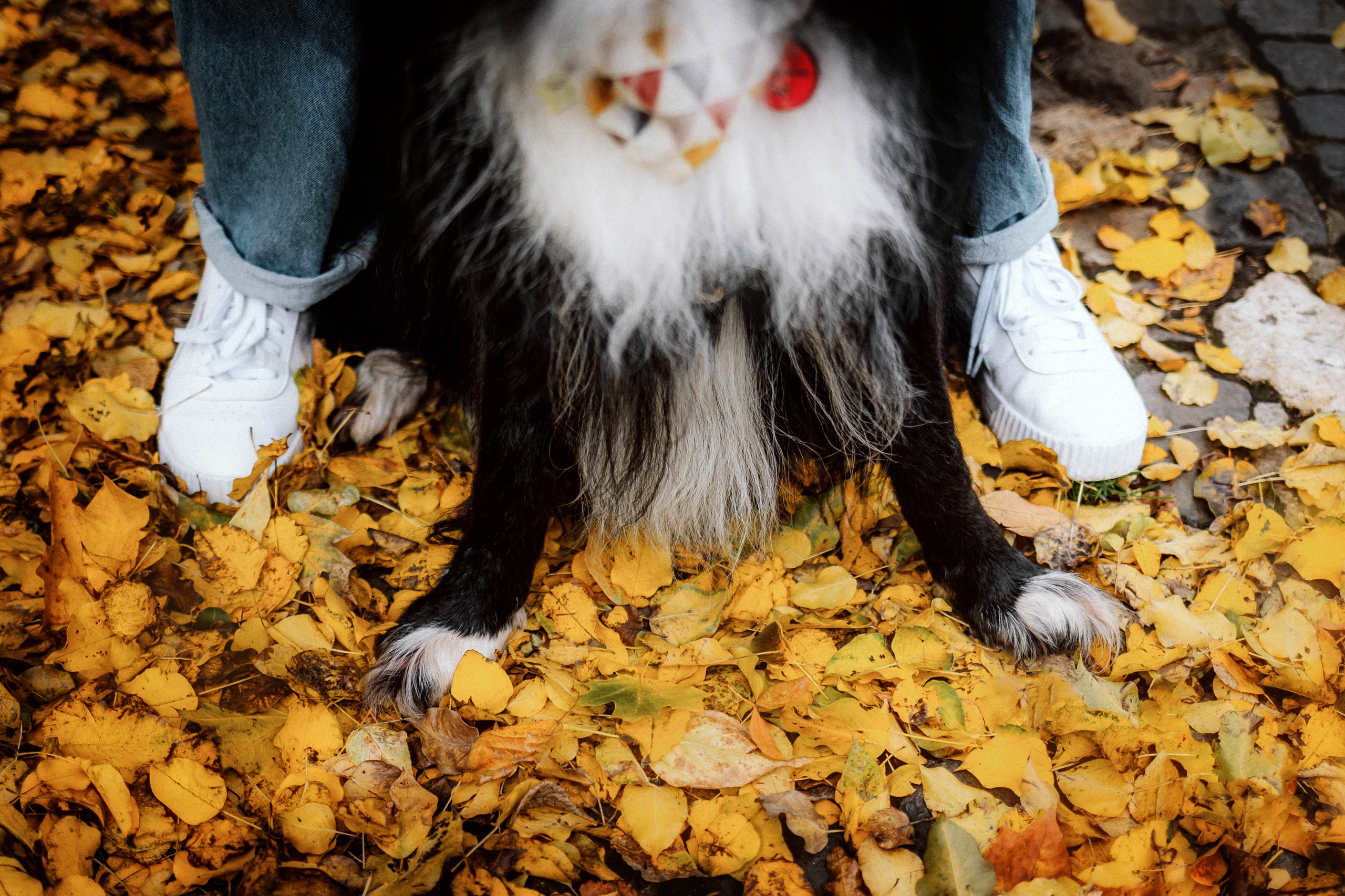 Диана и Чили