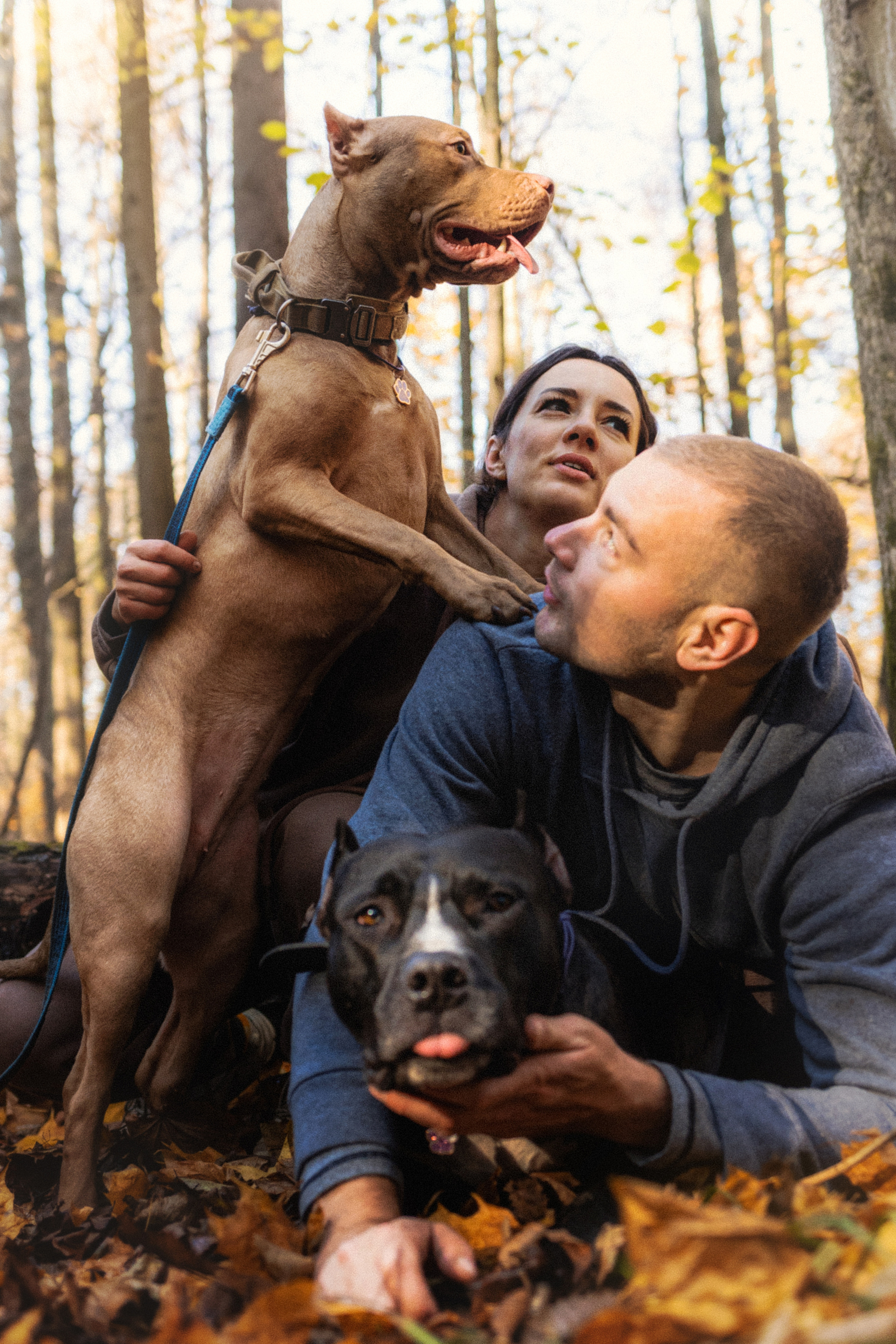 Фотосессия с собаками Камю и Афина в Москве