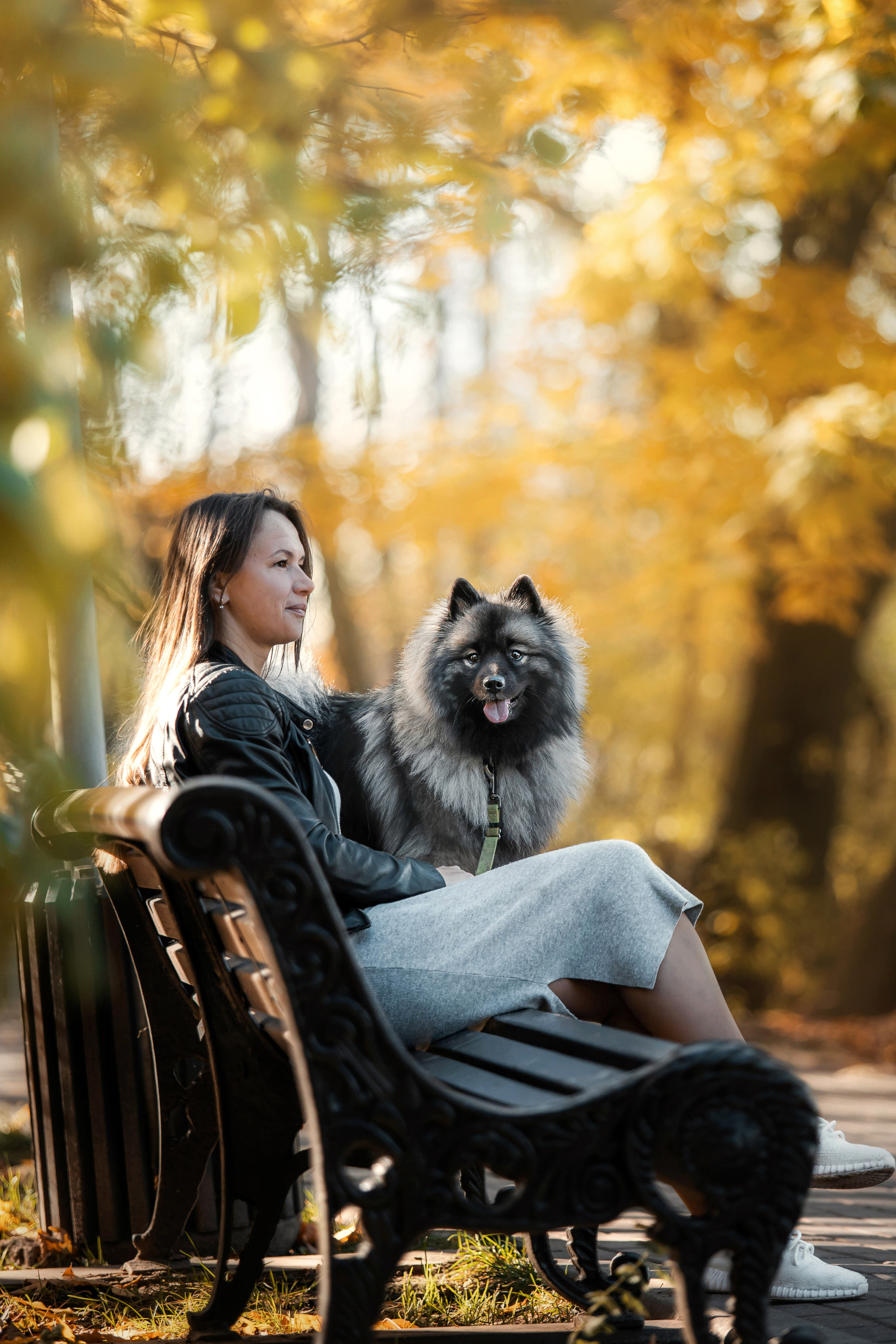 Фотосессия с собакой Чарой в Москве