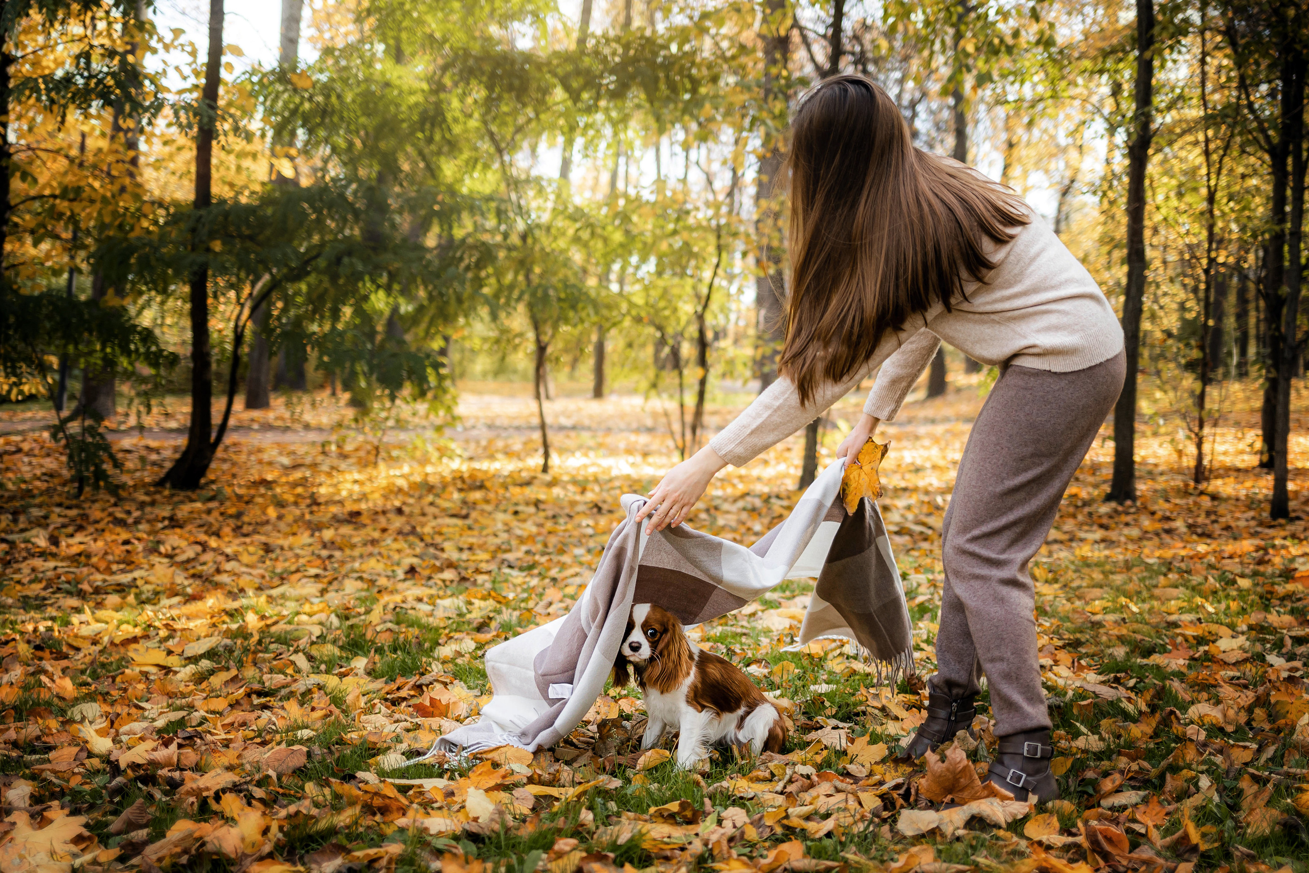 Фотосессия с собакой Флаффи в Москве