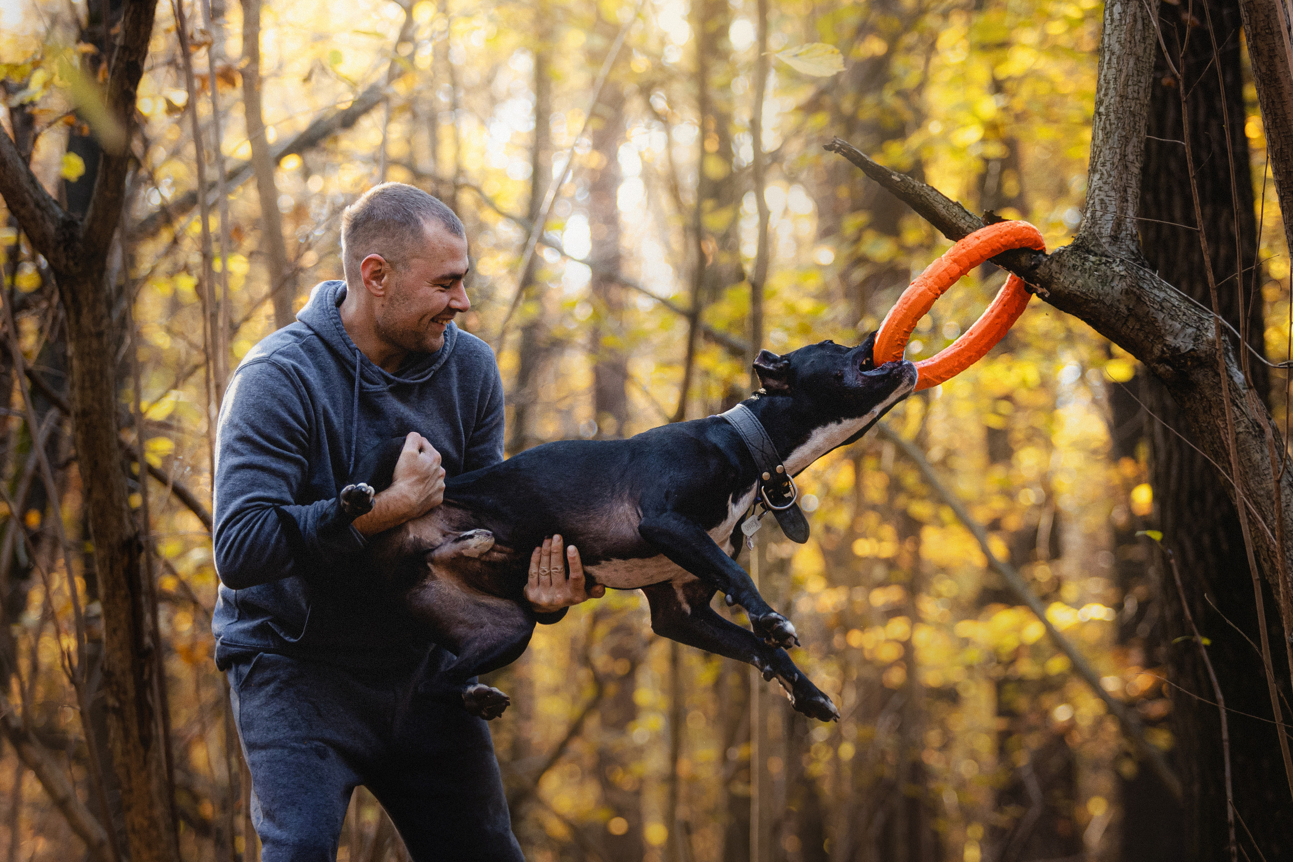 Фотосессия с собаками Камю и Афина в Москве