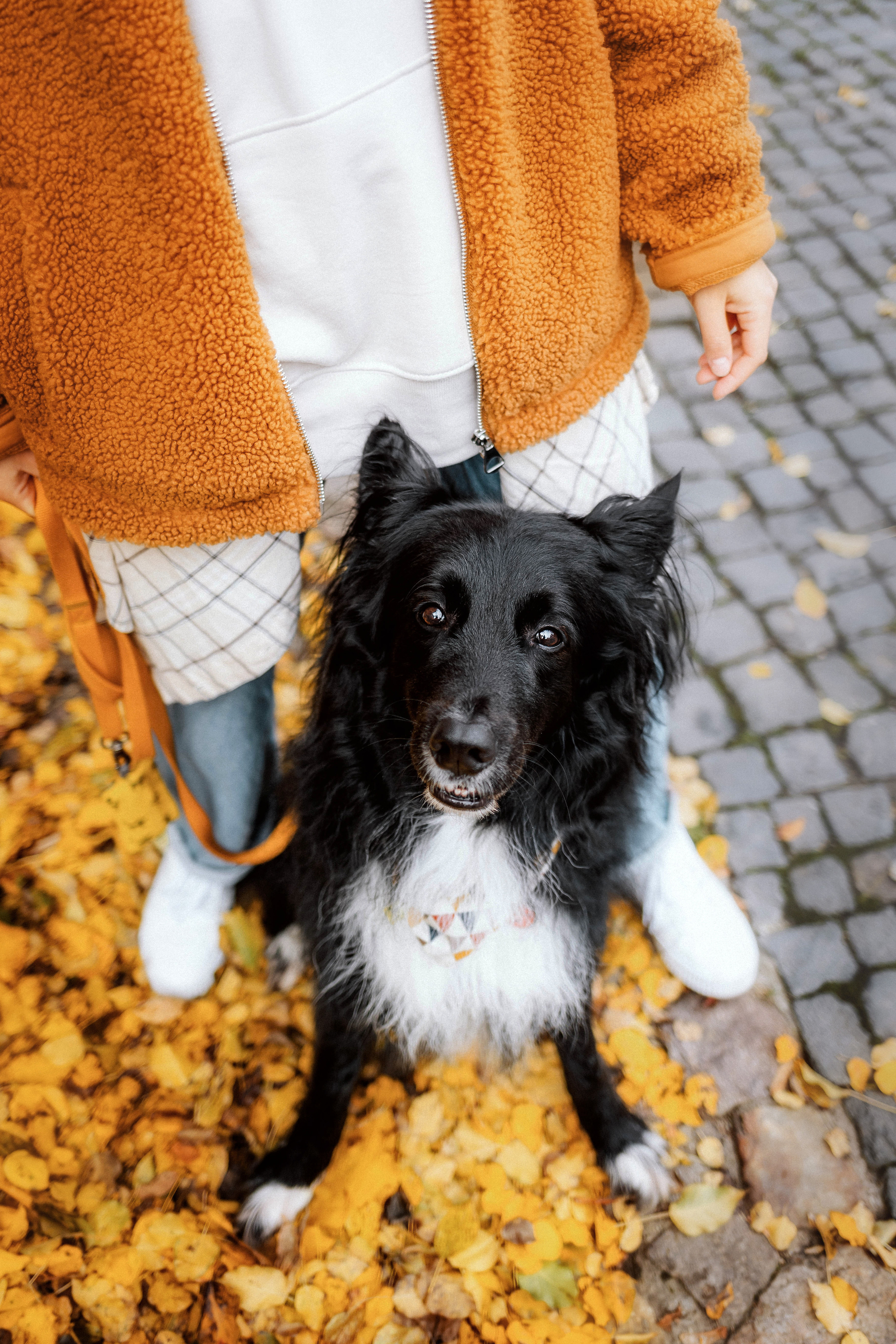 Диана и Чили