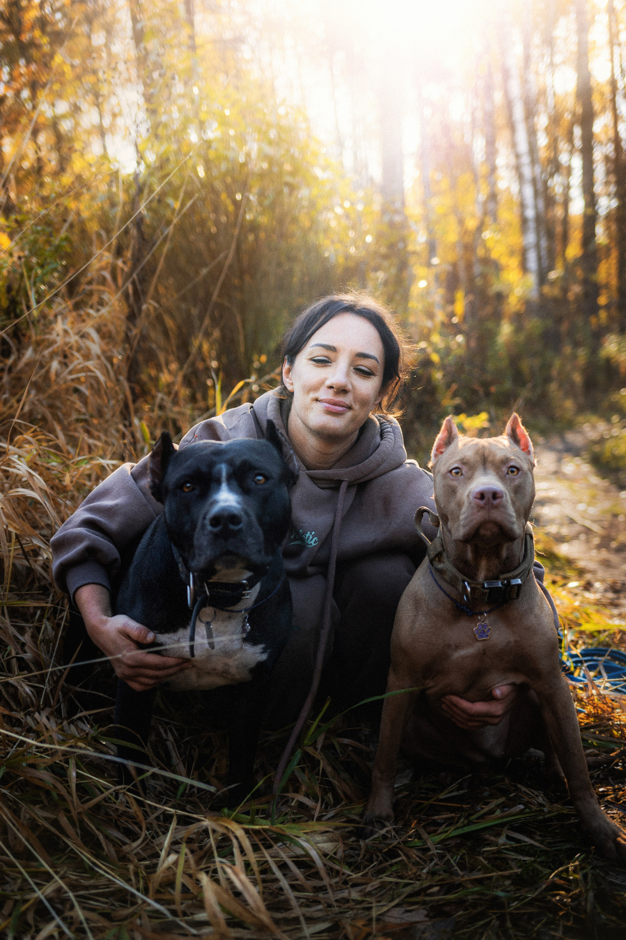 Фотосессия с собаками Камю и Афина в Москве
