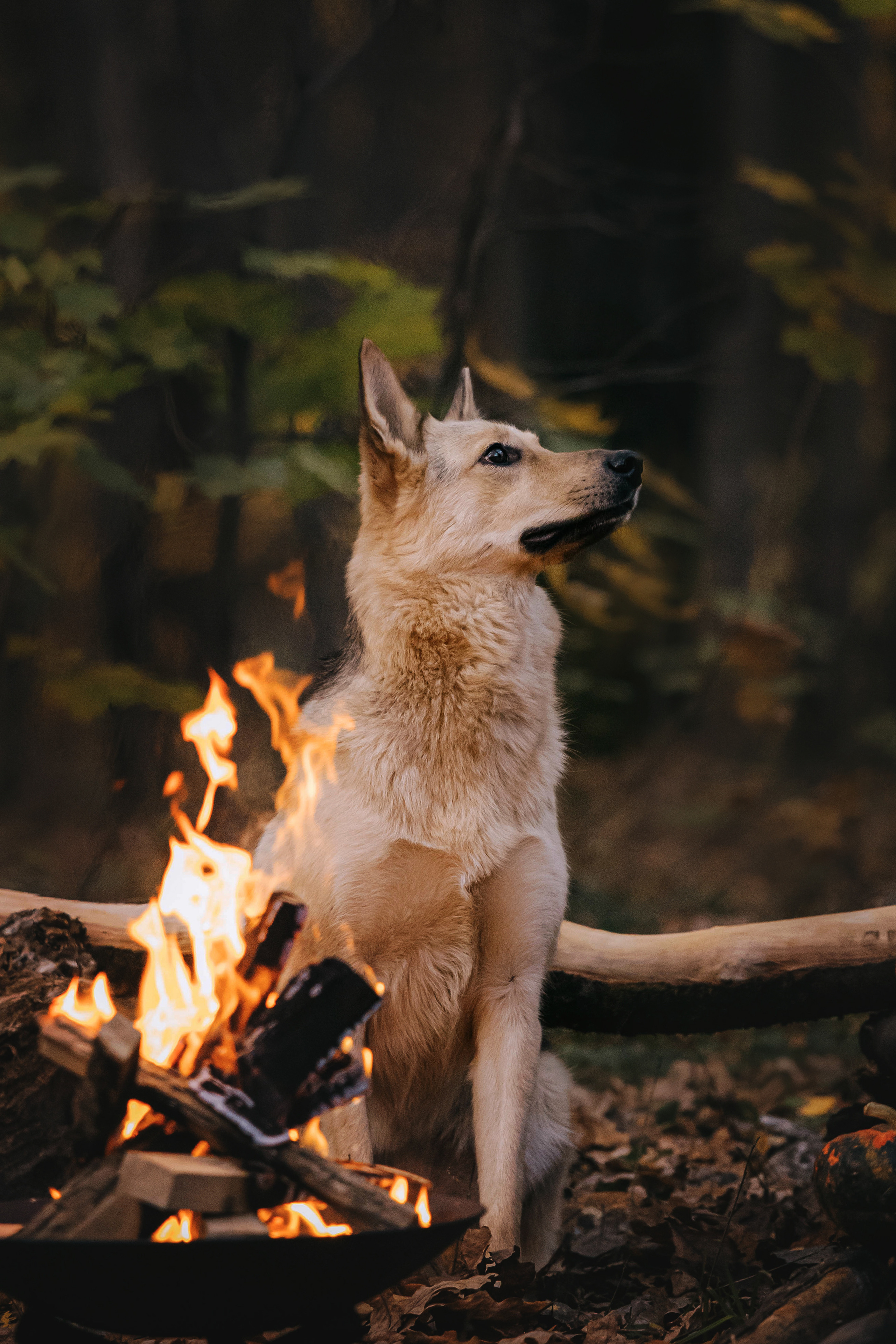 Фотосессия Марины и Тайги в Москве