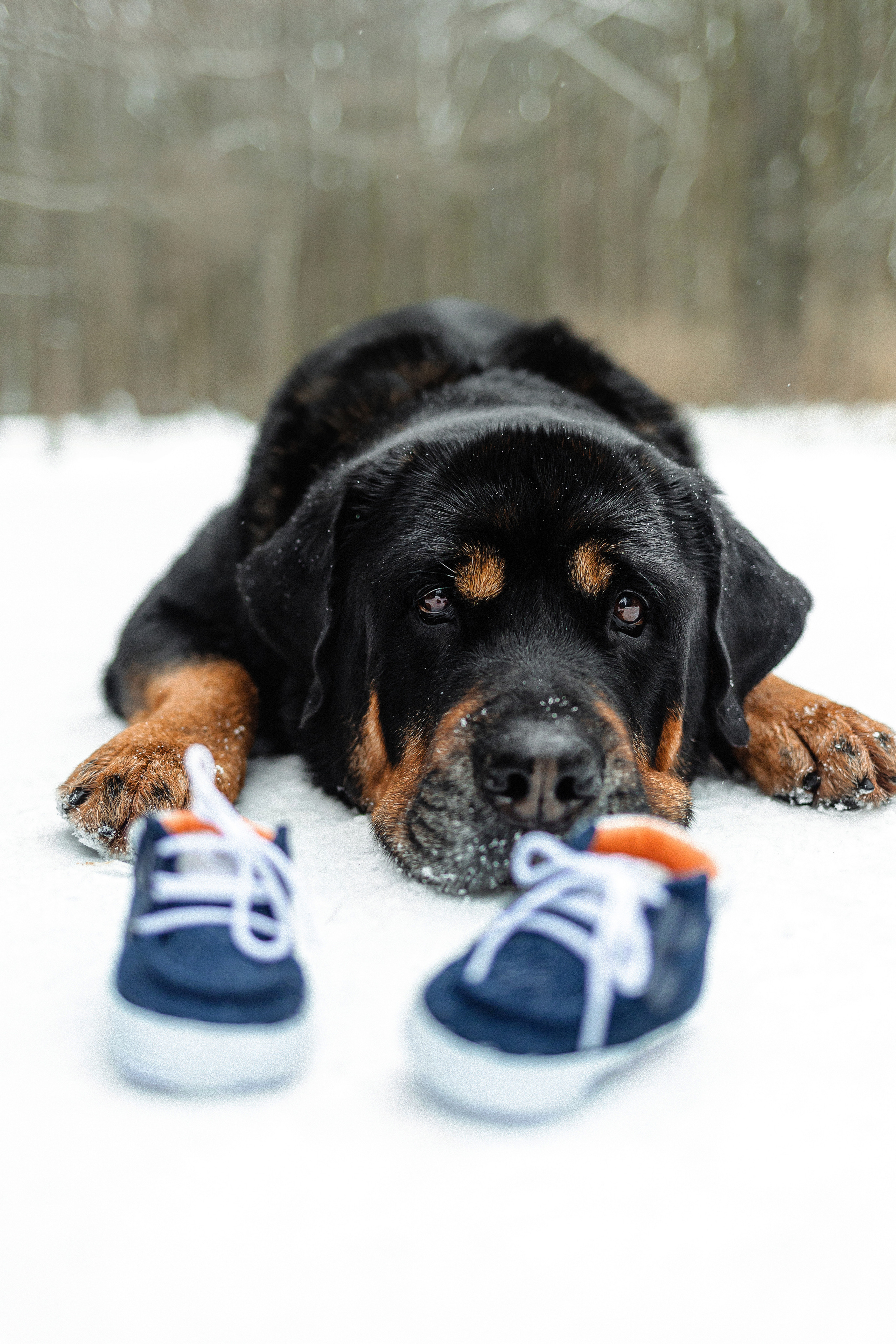 Фотосессия Ксюши, Димы и Батлера