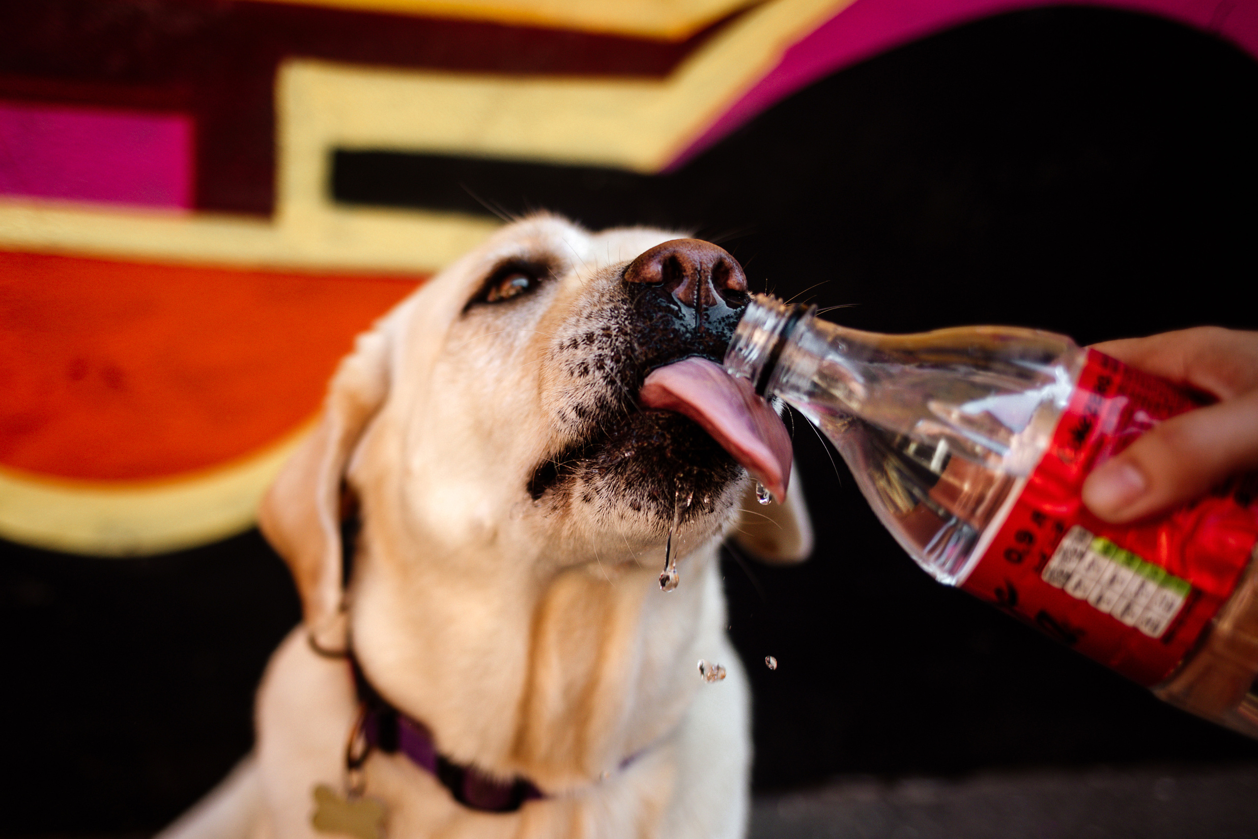 Настя и Мэри