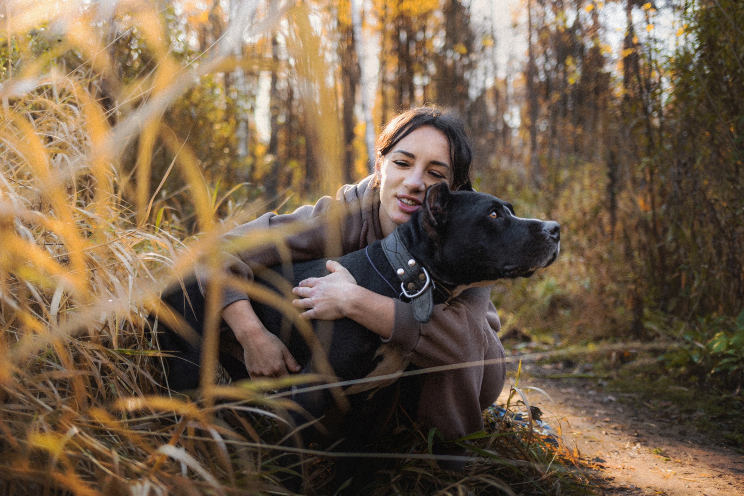 Фотосессия с собаками Камю и Афина в Москве