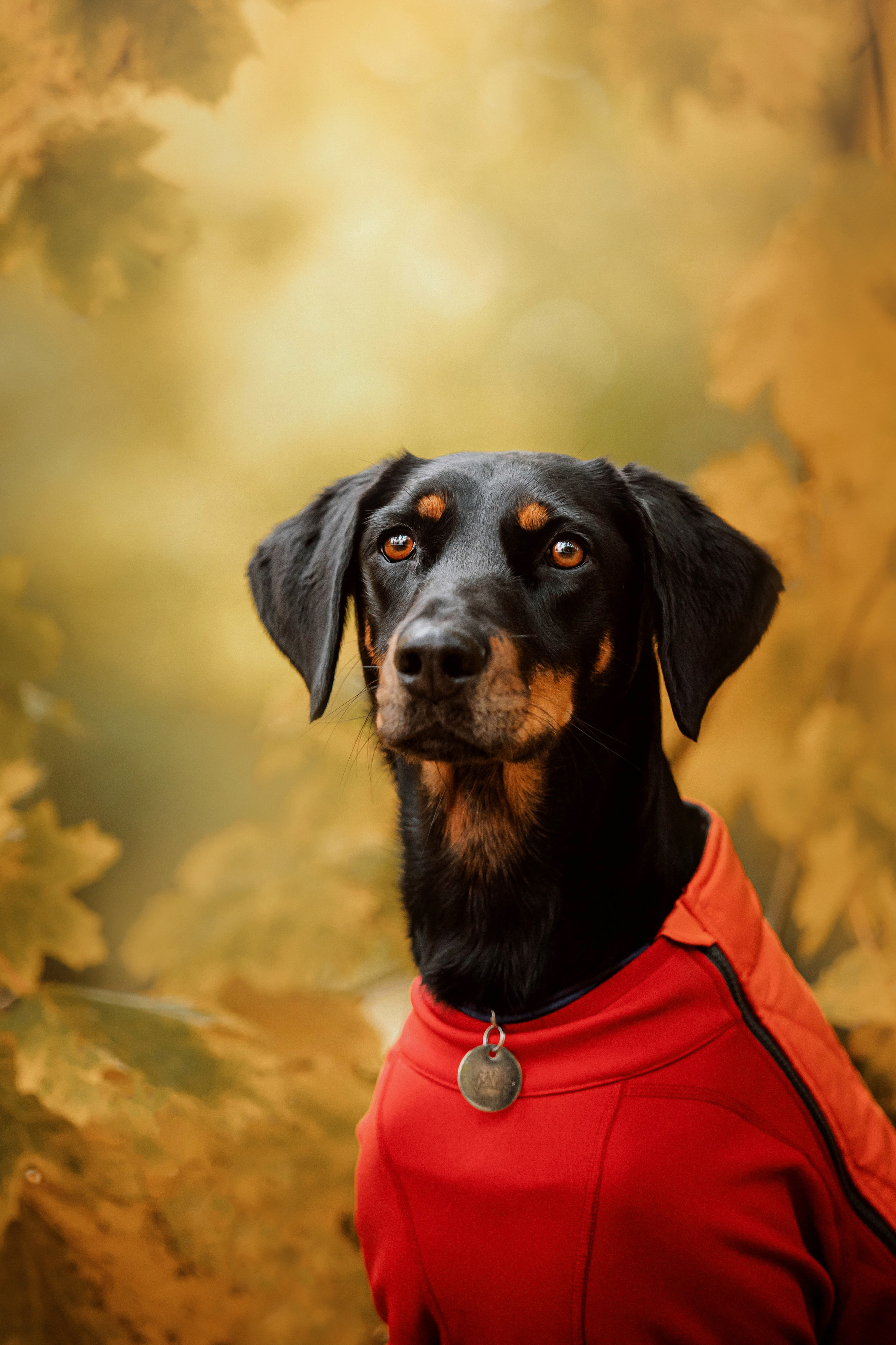 Настя и Флай