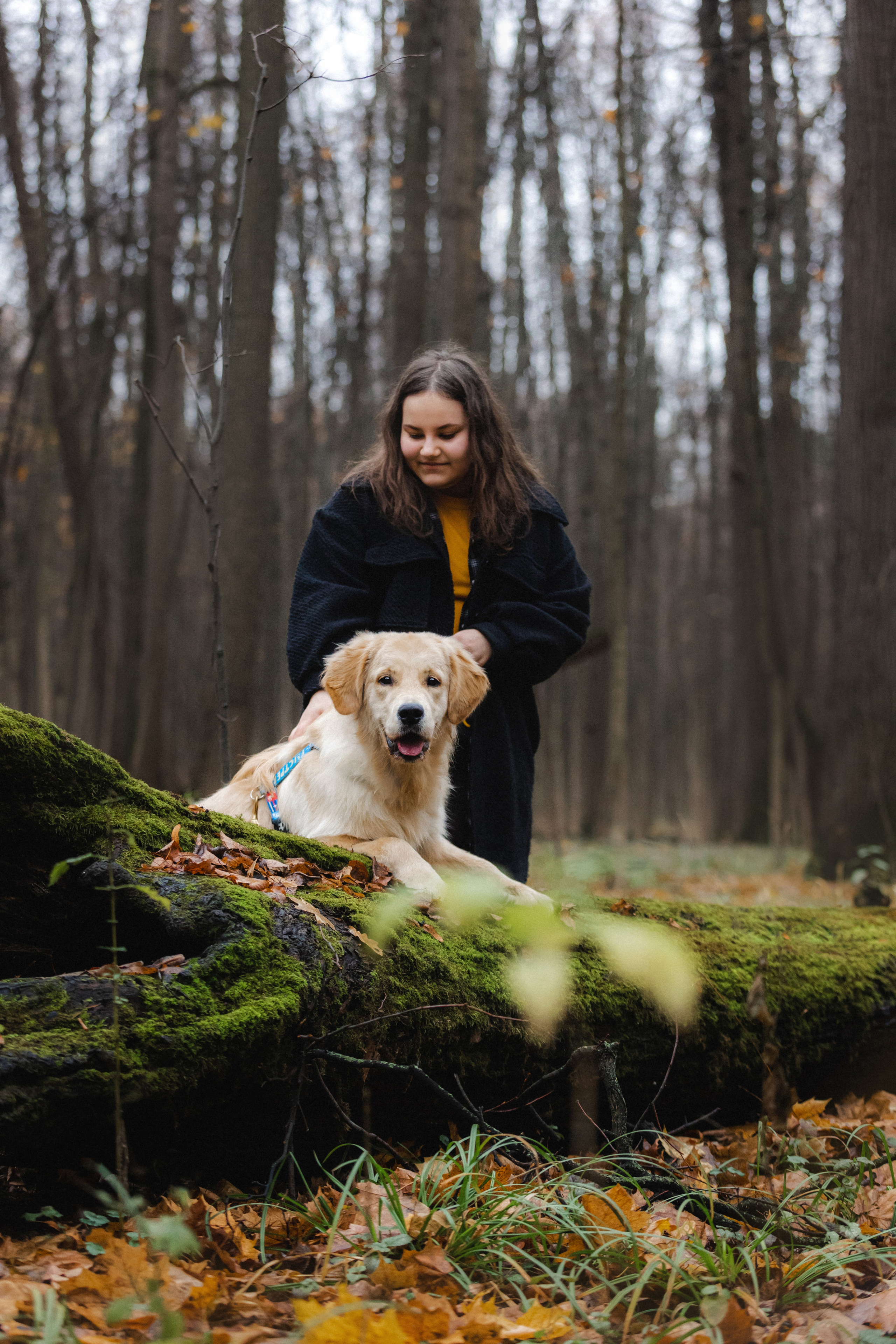 Фотосессия с собакой Гринч в Москве