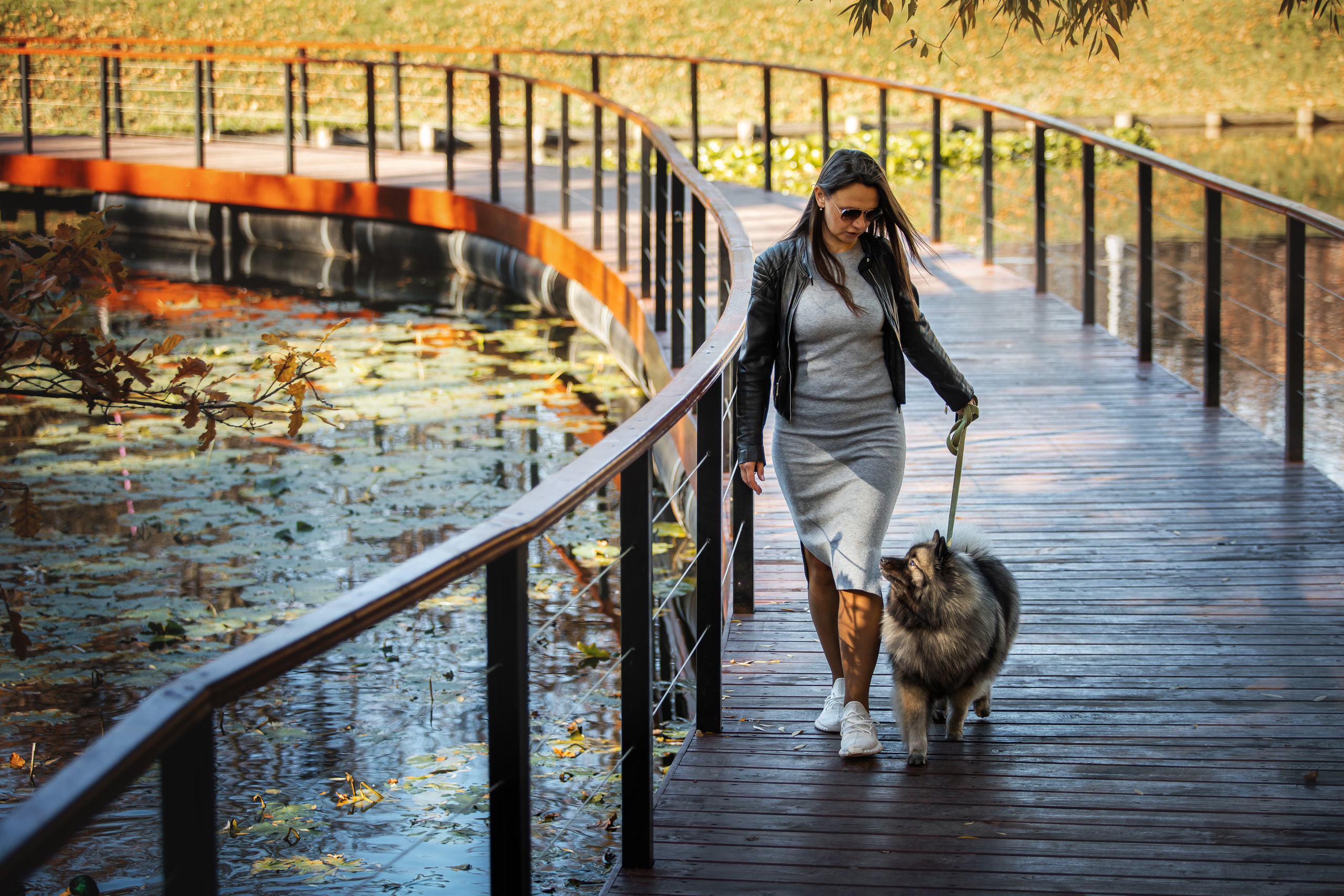 Фотосессия с собакой Чарой в Москве