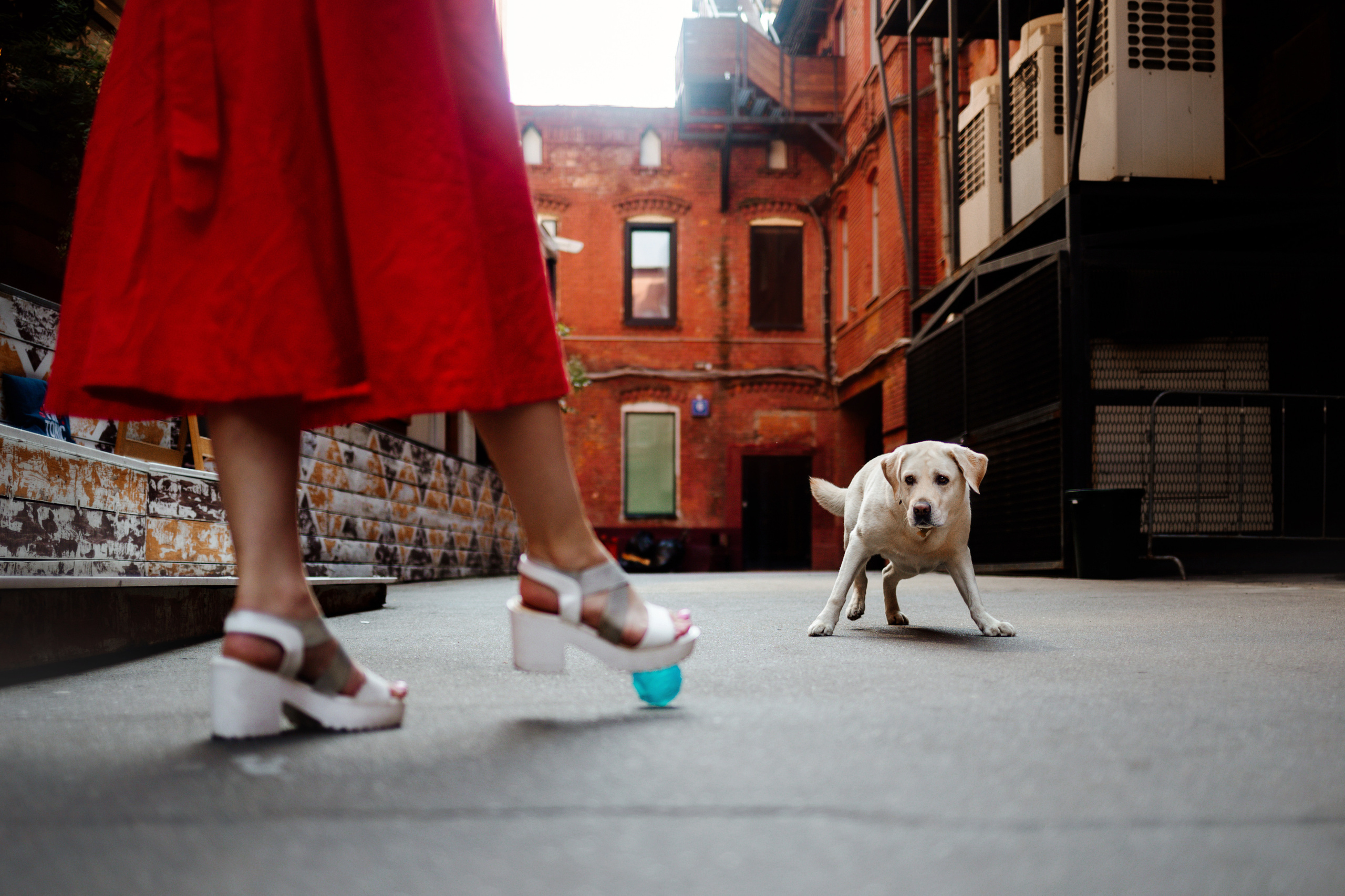 Настя и Мэри