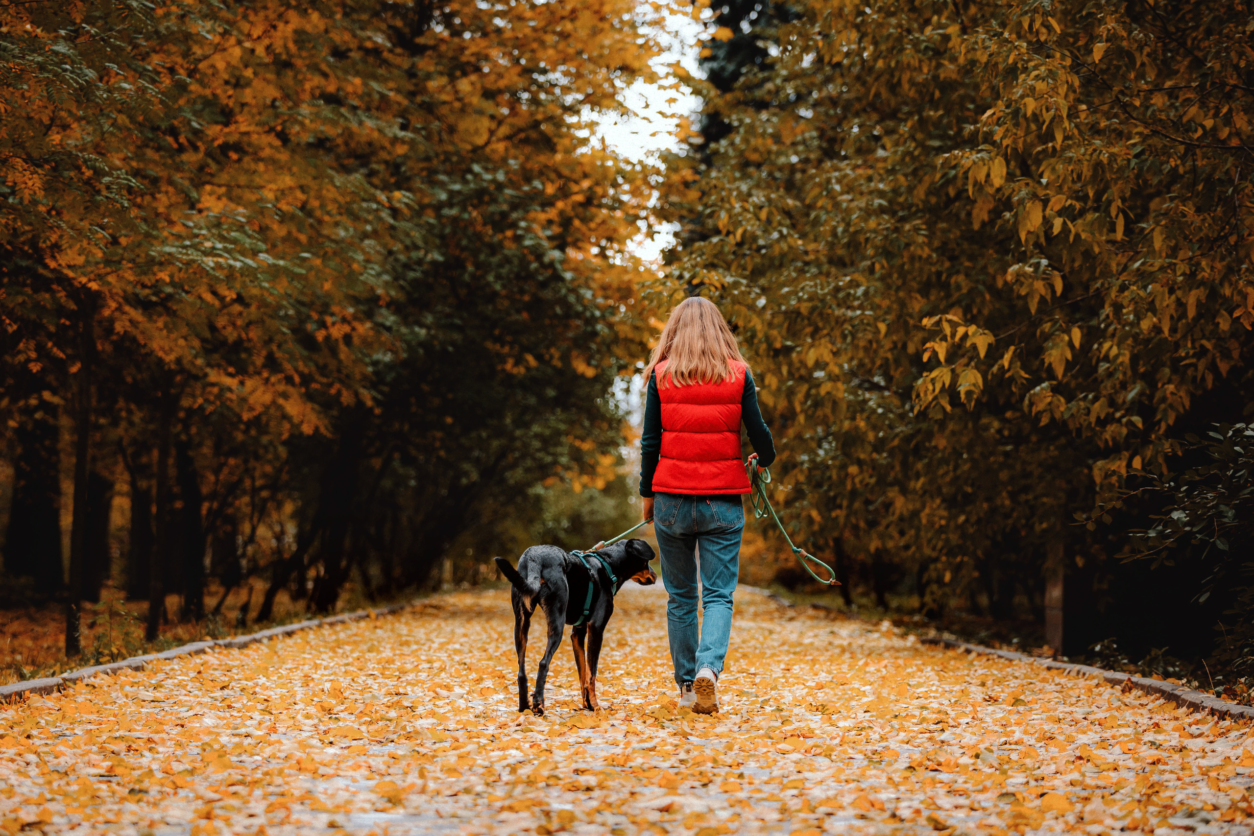 Настя и Флай