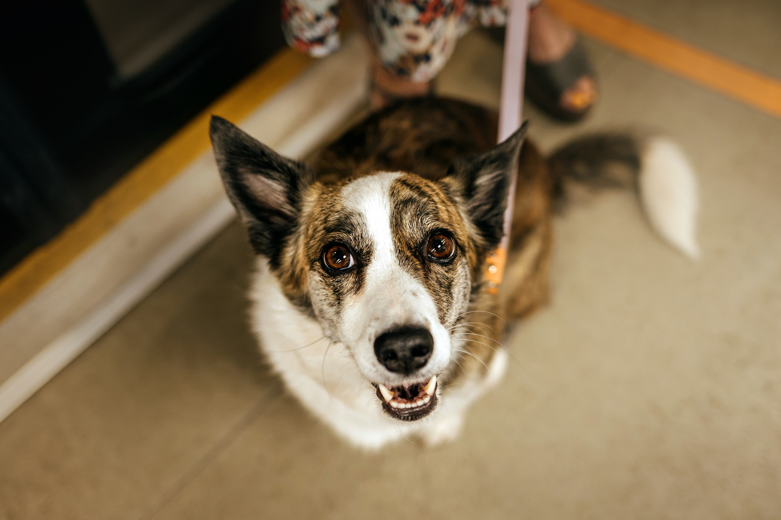 Фотосессия с Дашей и Тори в московском метро