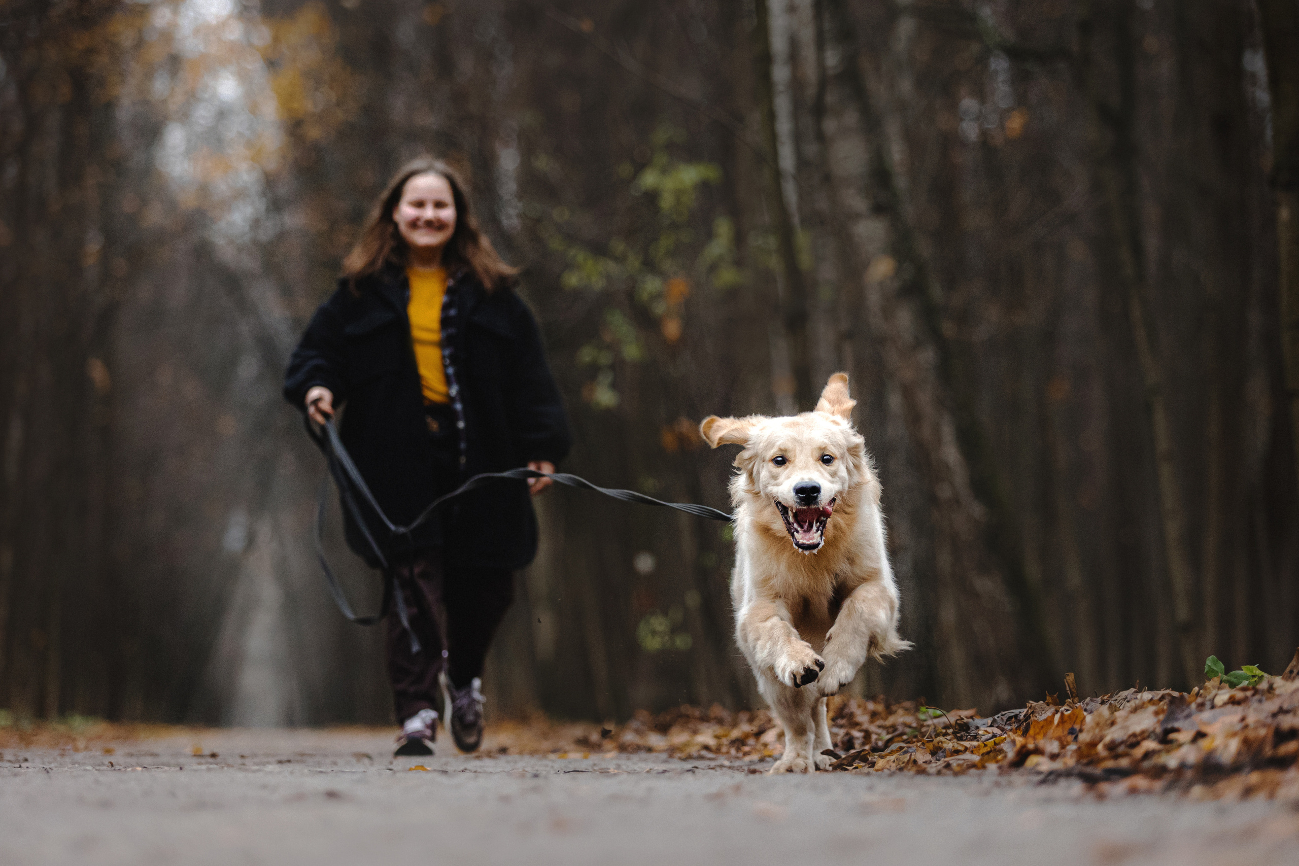 Фотосессия с собакой Гринч в Москве