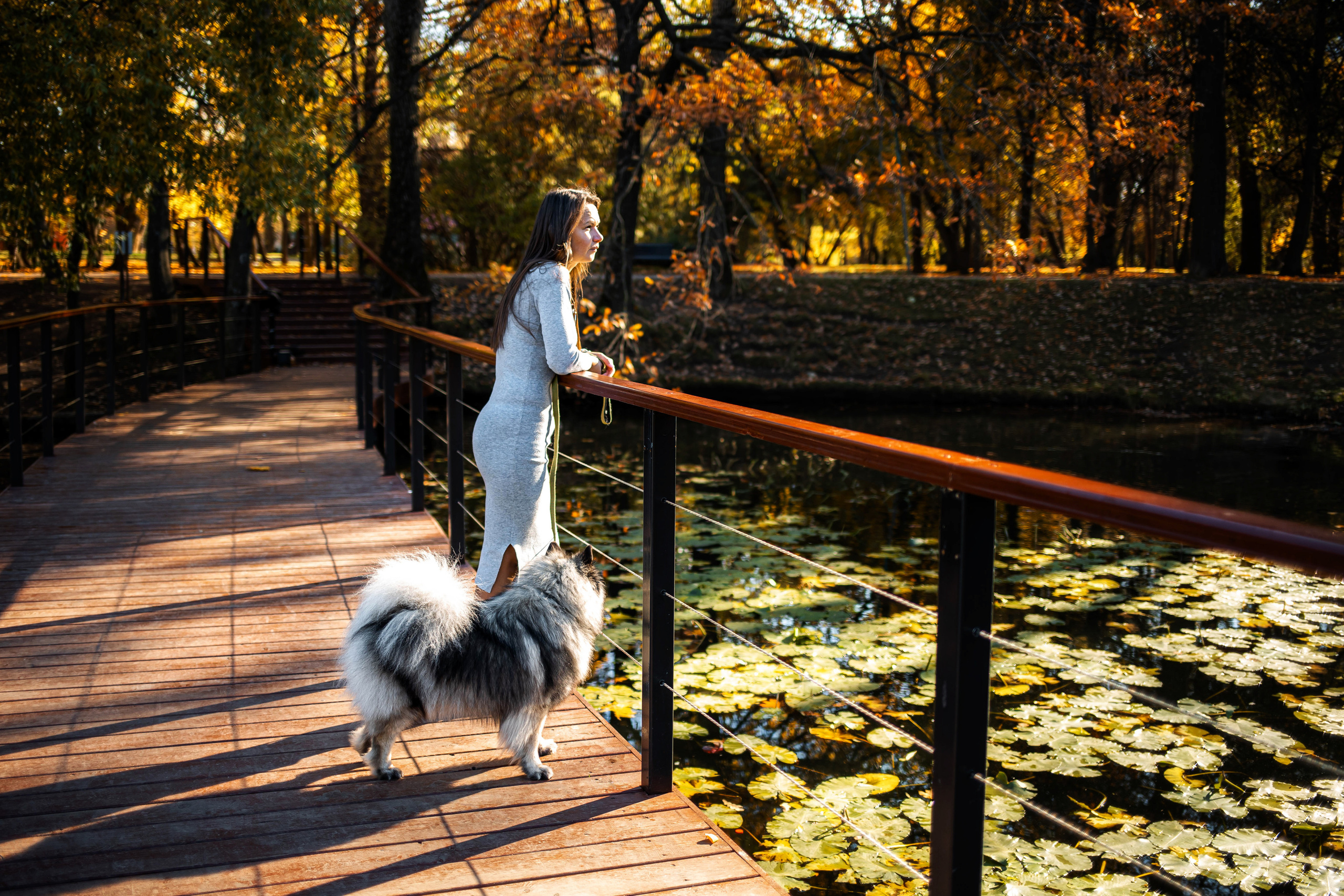 Фотосессия с собакой Чарой в Москве
