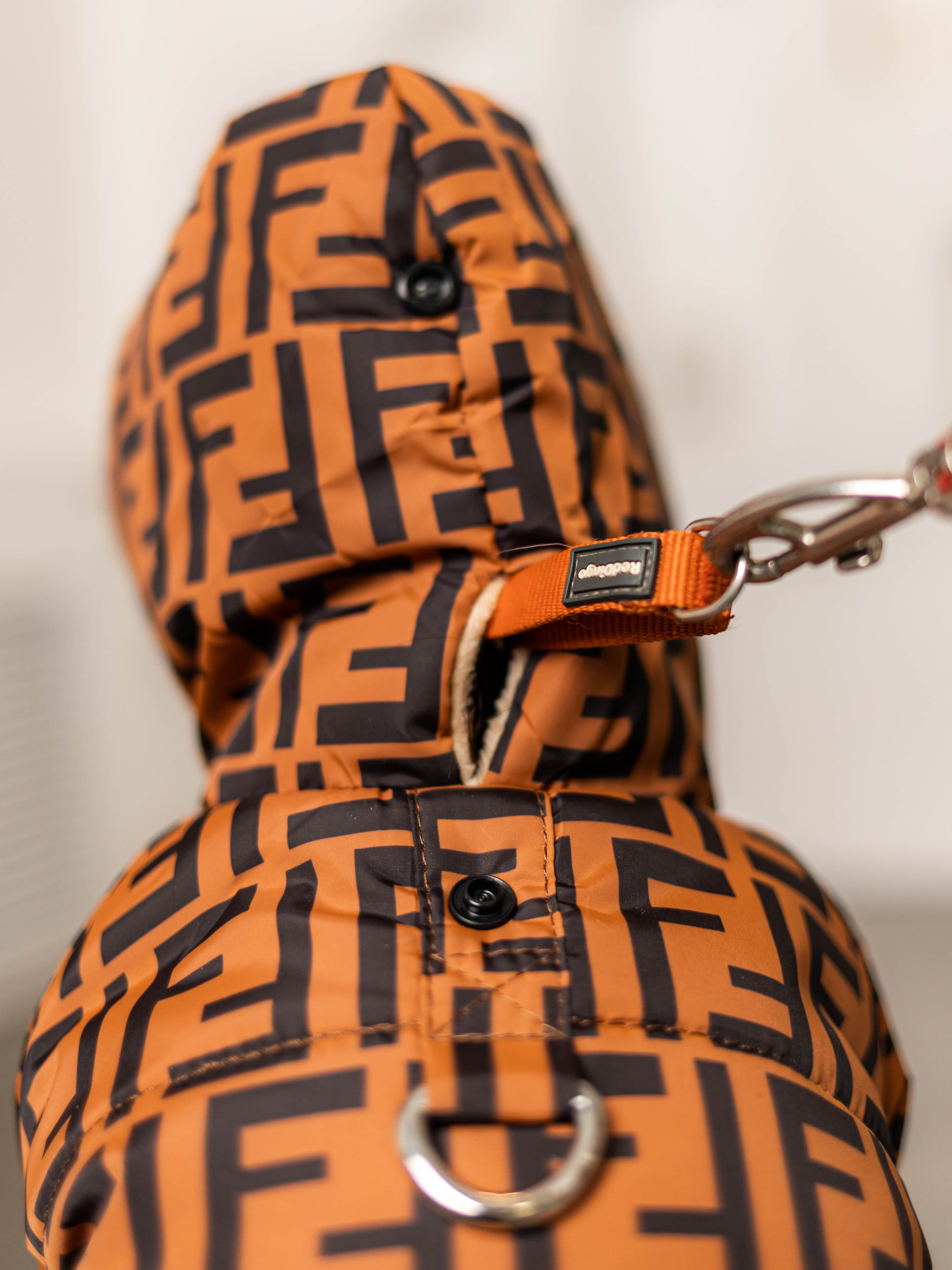 Фотосессия для каталога собачьих товаров на Wildberries