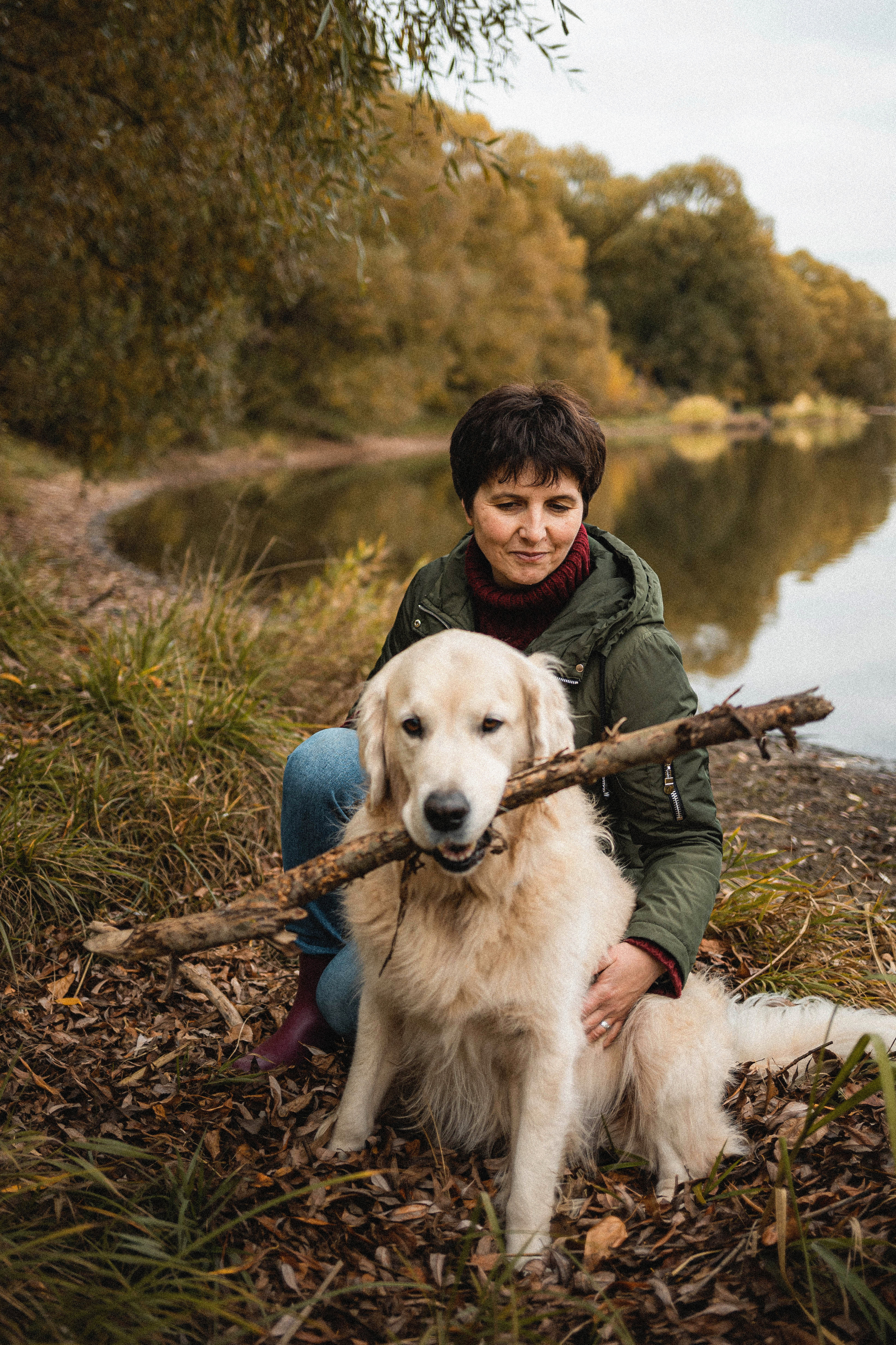Фотосессия с золотистым ретривером Мартином в Москве