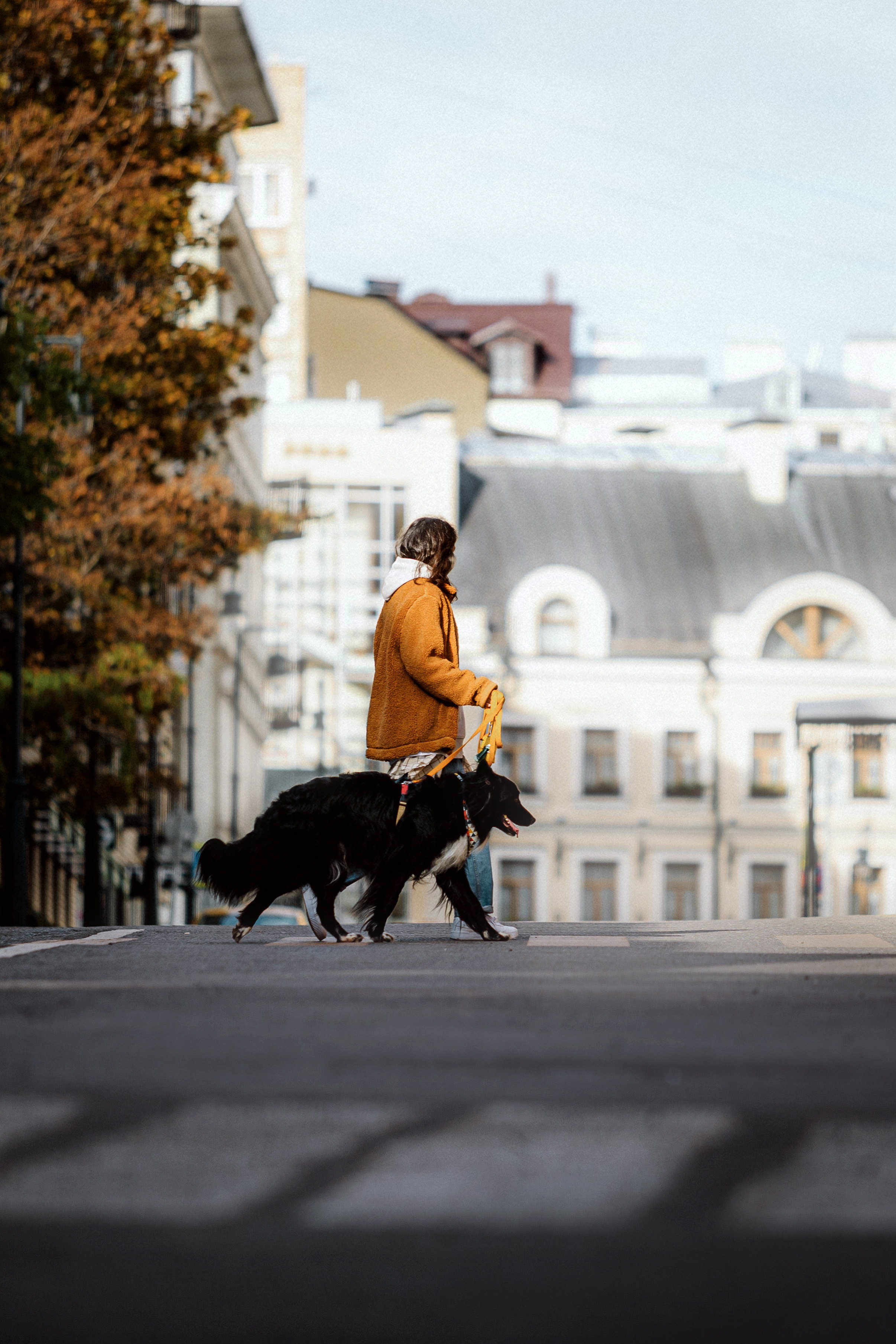 Диана и Чили