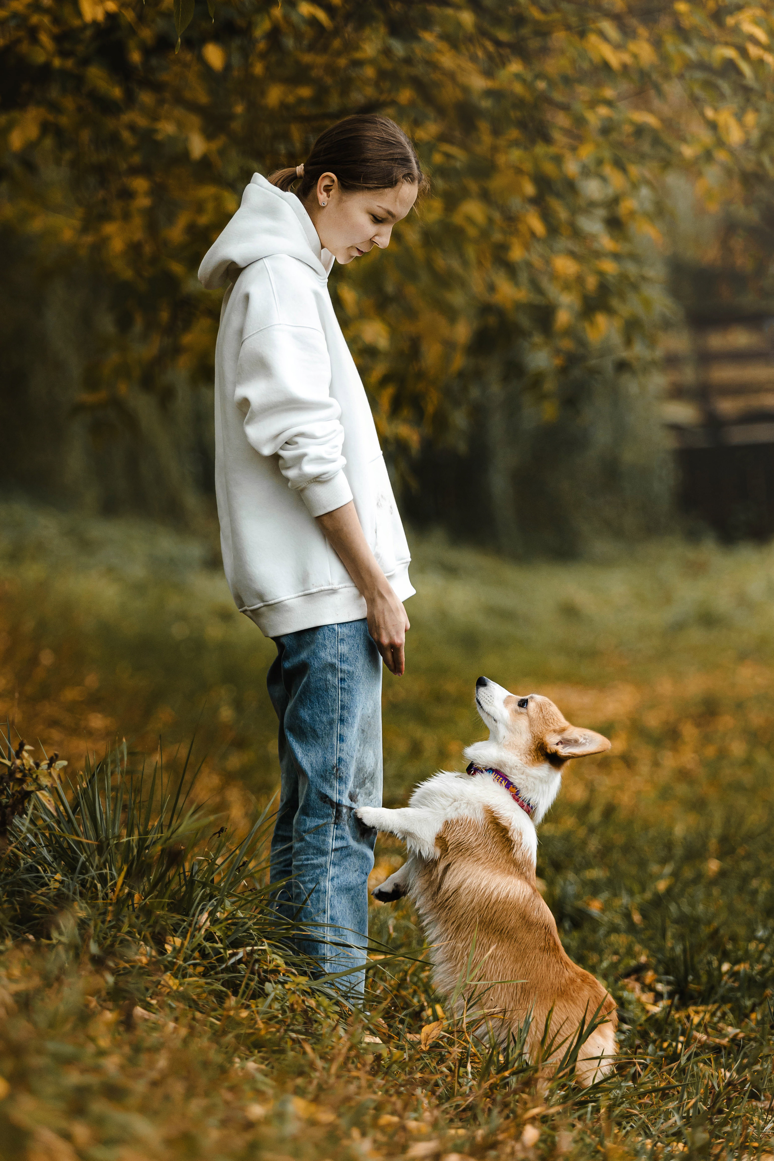 Фотосессия с собакой Заей в Москве