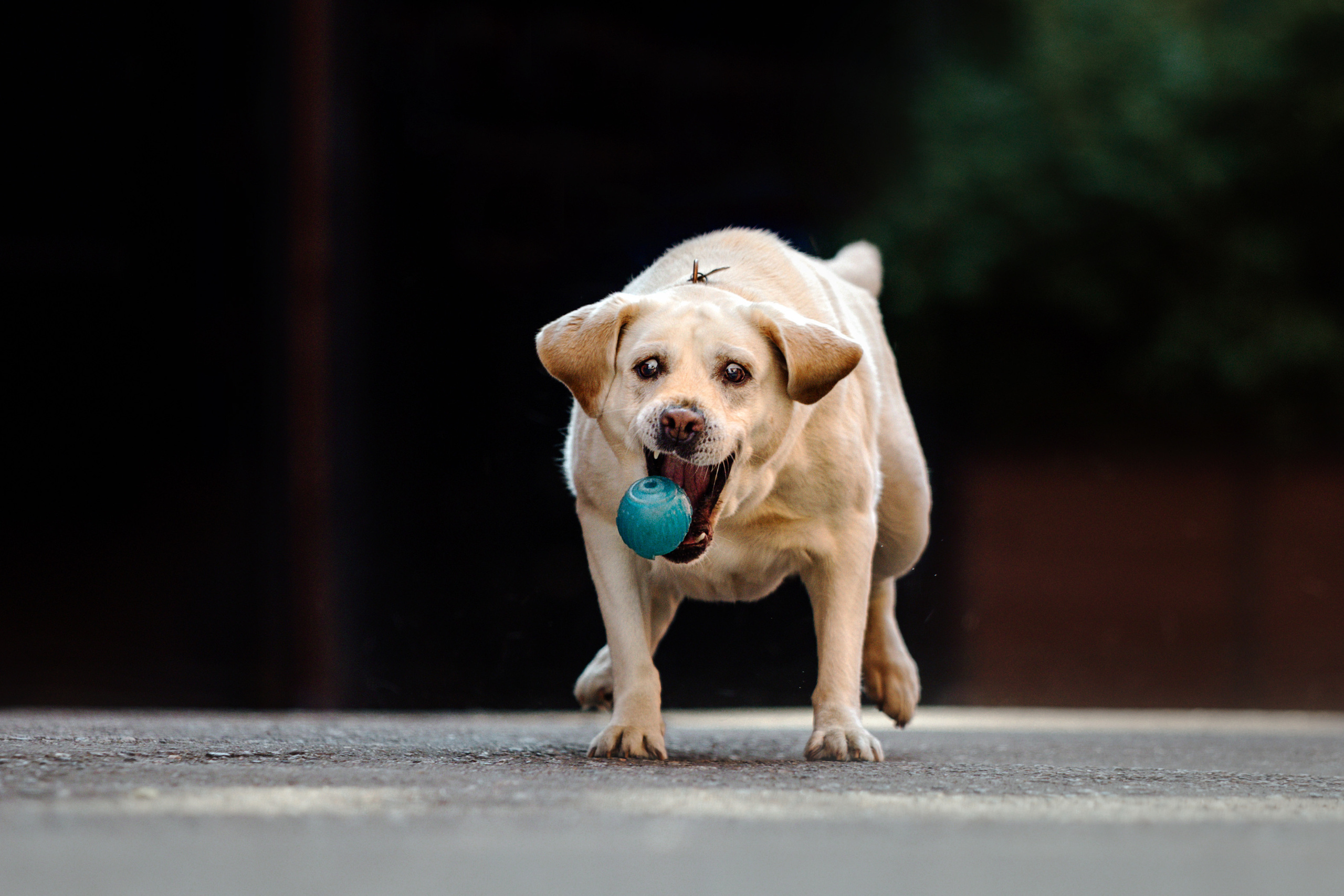 Настя и Мэри