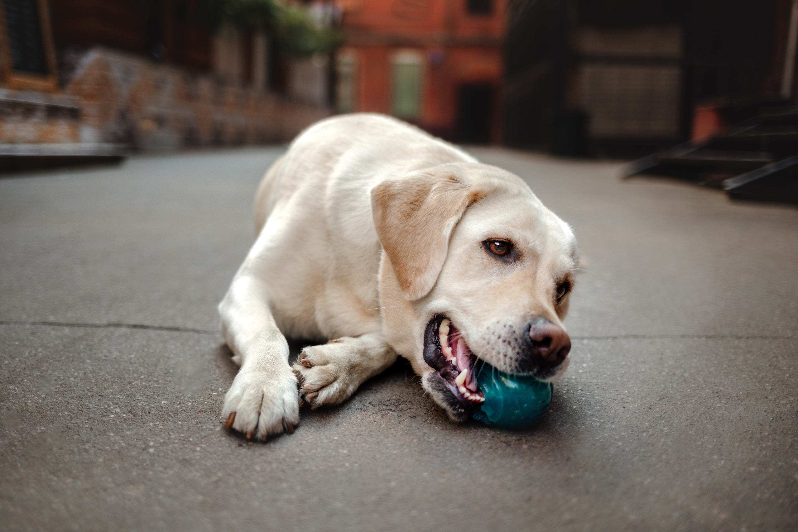 Настя и Мэри