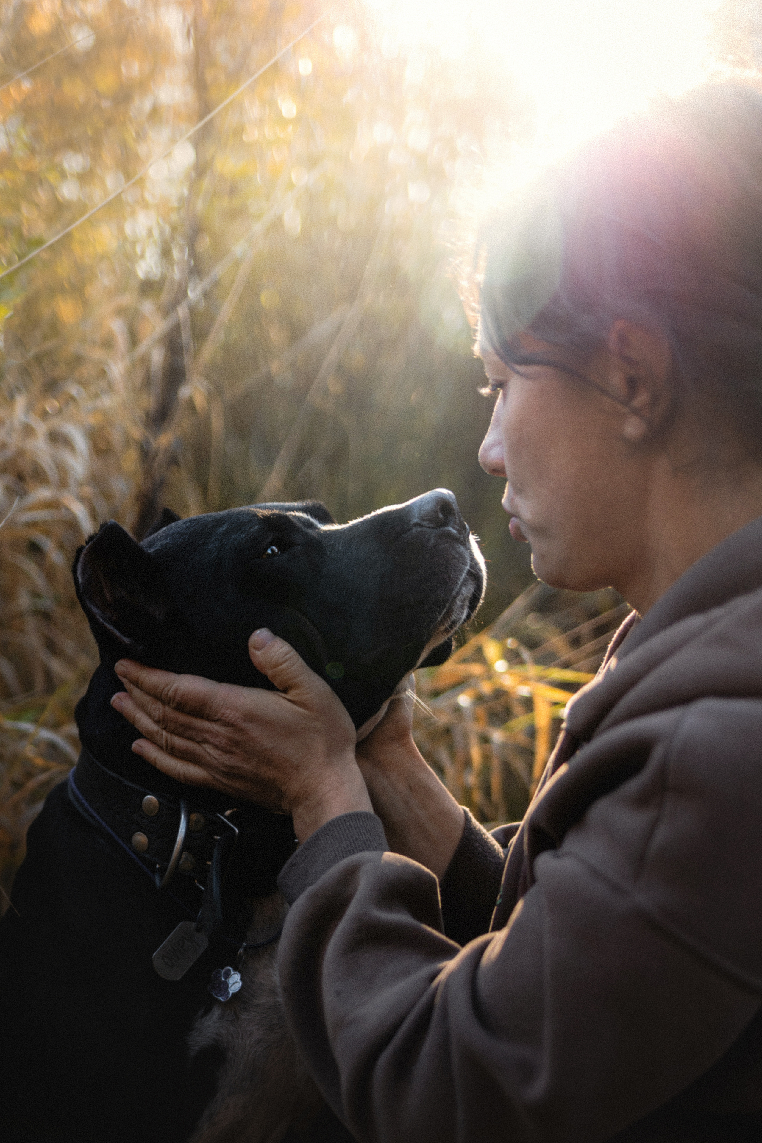 Фотосессия с собаками Камю и Афина в Москве