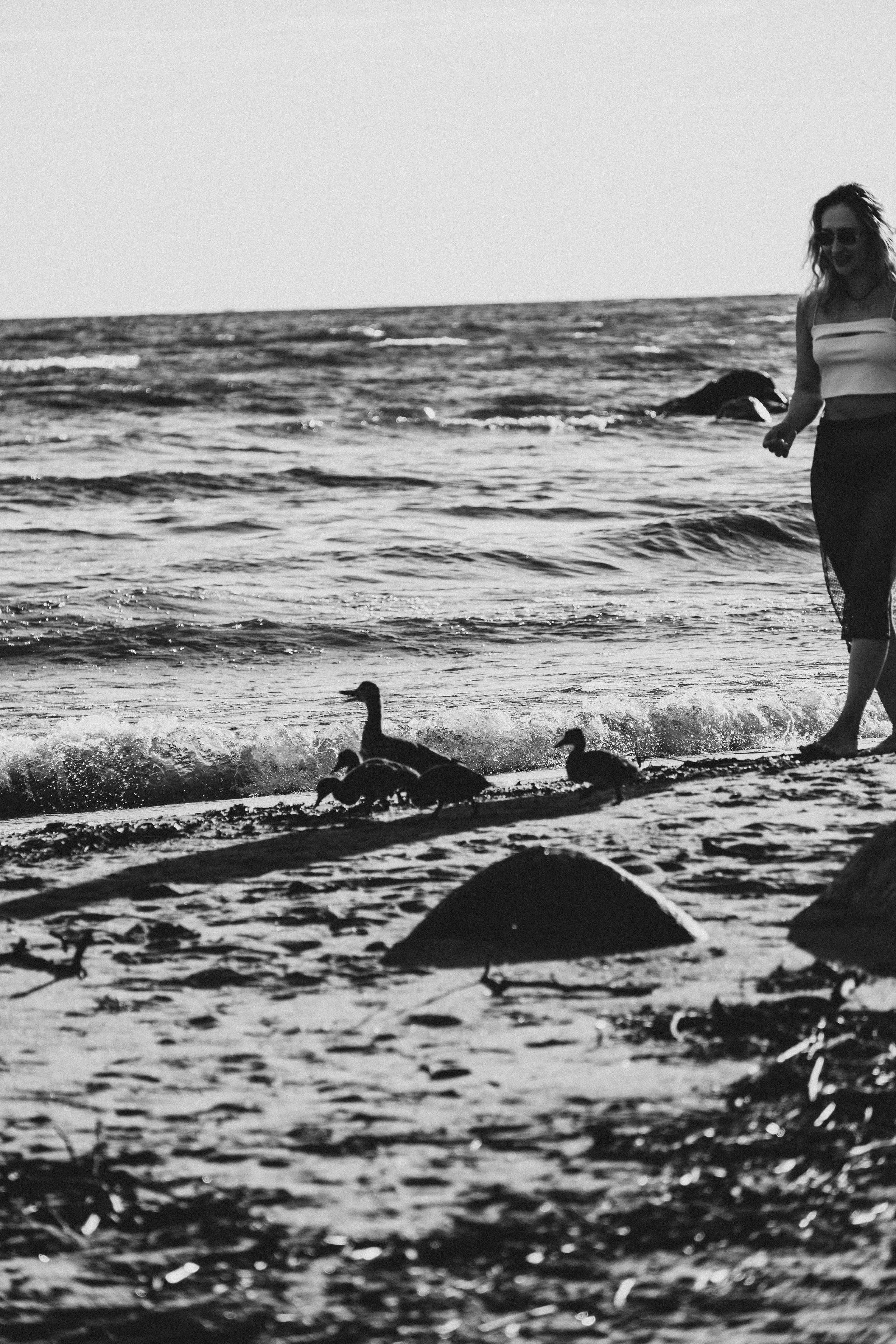 ПРОГУЛКА НА БЕРЕГУ ФИНСКОГО ЗАЛИВА. Профессиональный фотограф, Санкт-Петербург — Виктория Богомолова