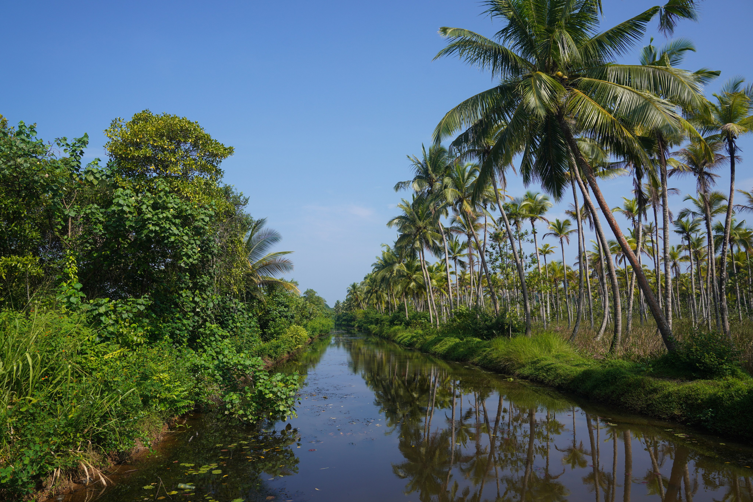 Остров Шри-Ланка. Фотограф Сергей Кишкель Дананг Нячанг Фукуок