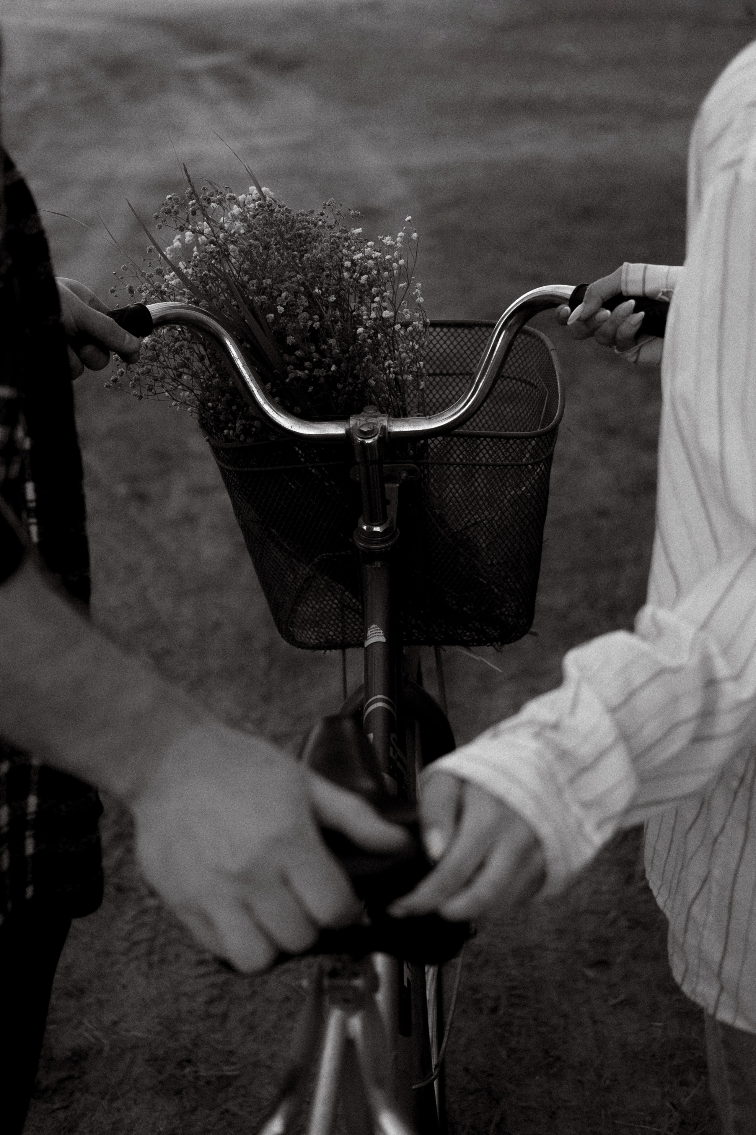 Фотосессии love story для двоих в Сочи, Сириусе и на Красной поляне. Семейный, свадебный фотограф Сочи, Адлер, Красная поляна