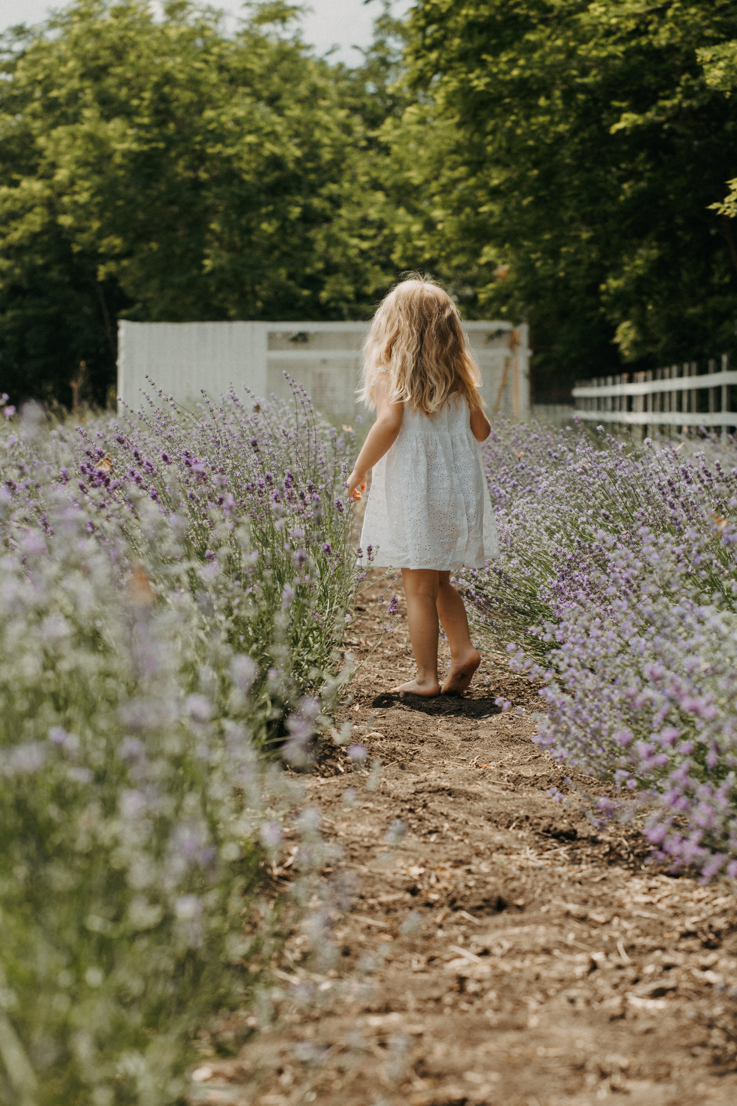 Семейная фотосессия в лаванде. Свадебный и семейный фотограф в Краснодарском крае Мария Данилкина
