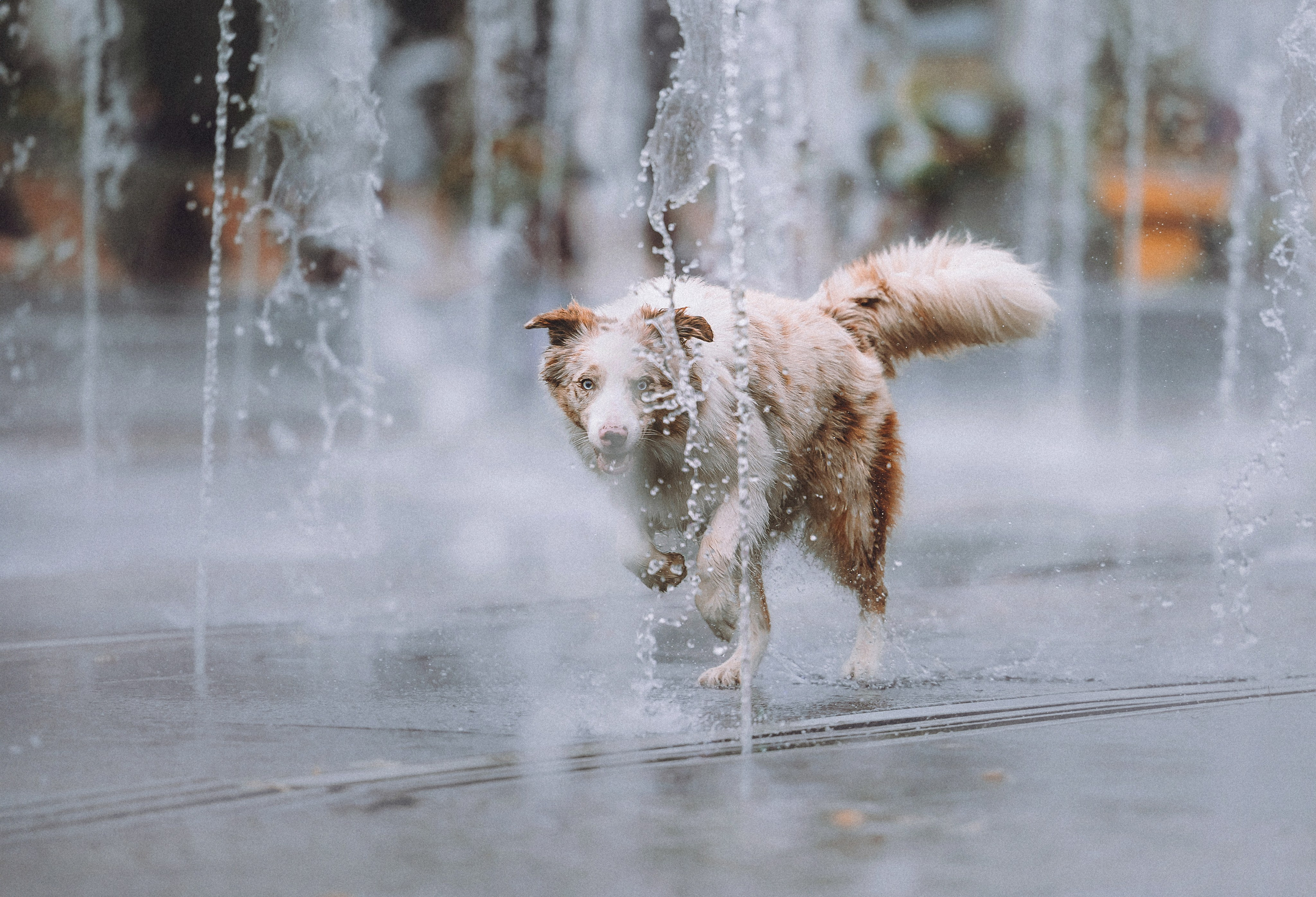 Один и его семья