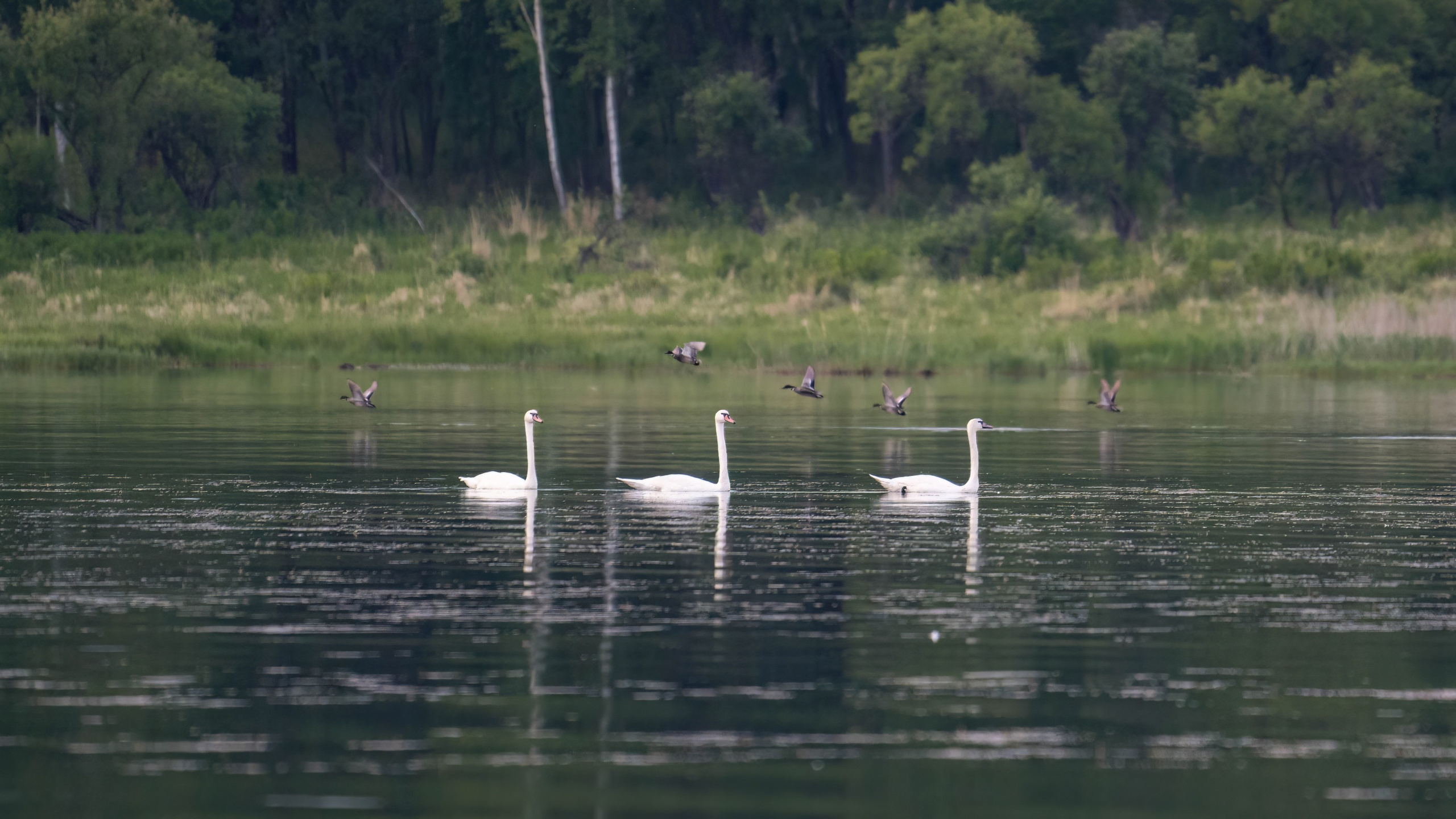 Портфолио. Фотограф и видеограф, видеомонтаж в Амурской области Игорь Иванов