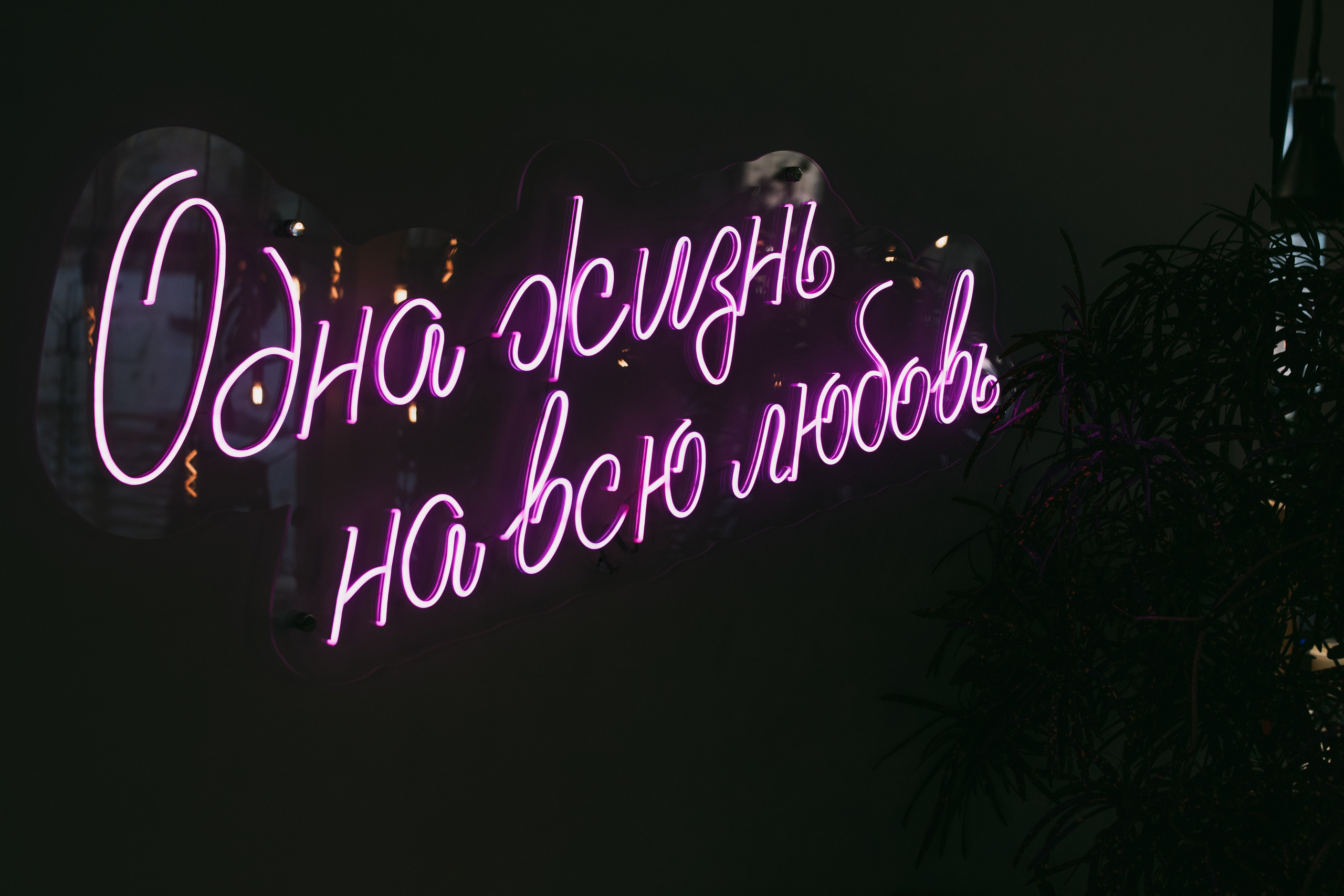 «Одна жизнь на всю любовь»