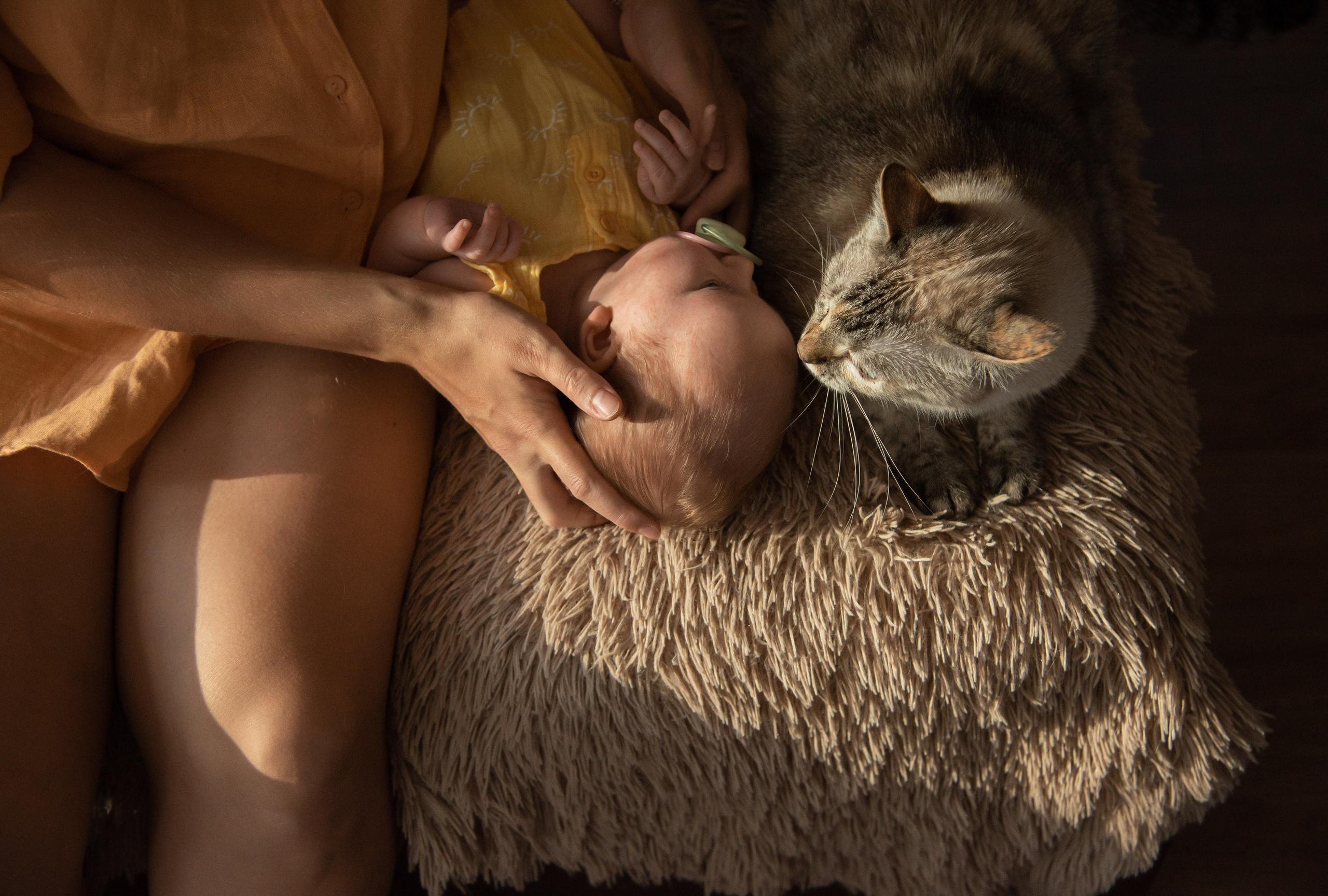 Love story и семейные истории. Свадебный и семейный фотограф Ольга Астрейко