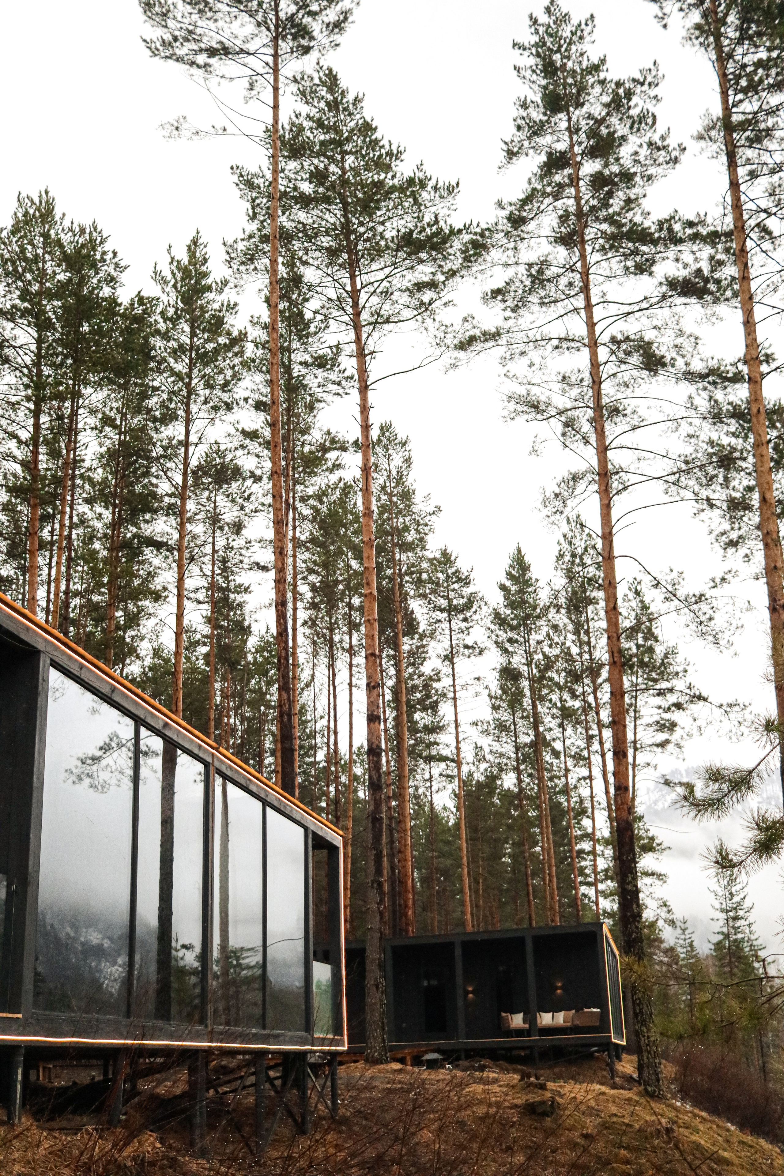 «Pinewood» парк-отель, респ. Алтай. Контент фотограф Дмитрий Борисов