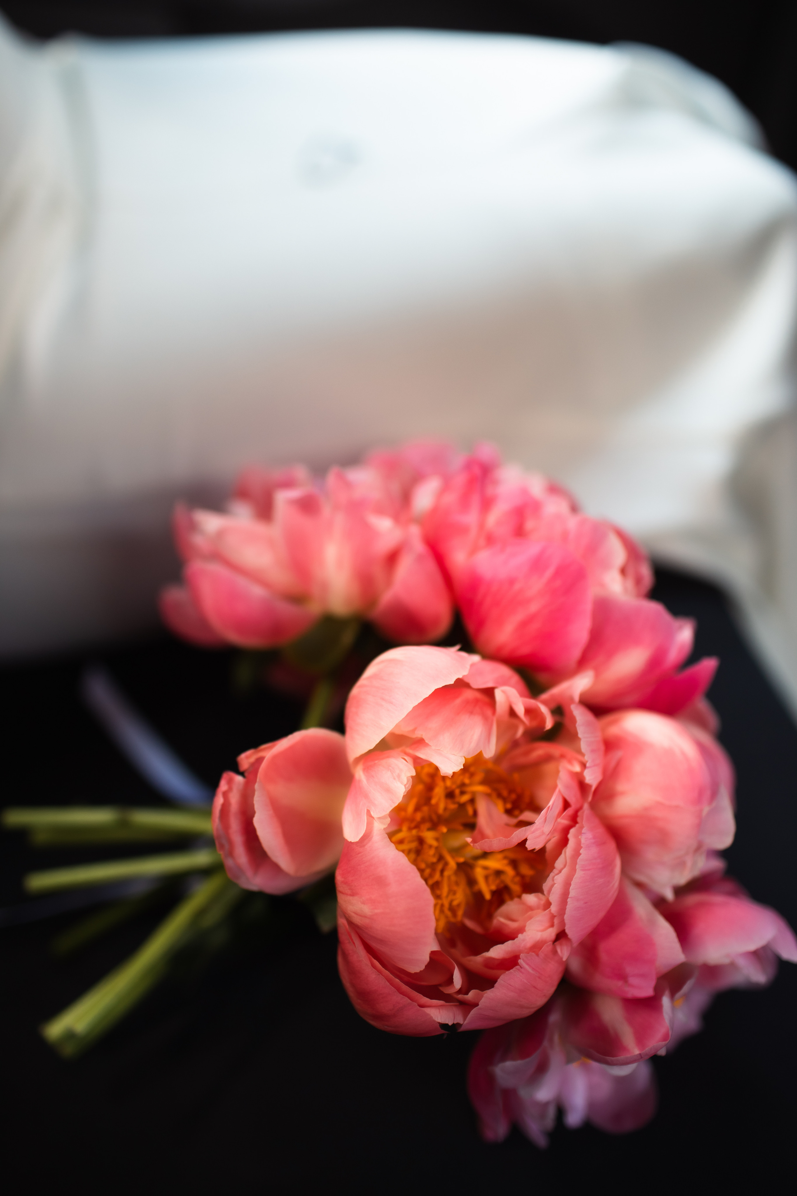 Свадьба Василий и Дилора / На стиле… и немного шалостей. Фотограф Омск Ольга Гинжул