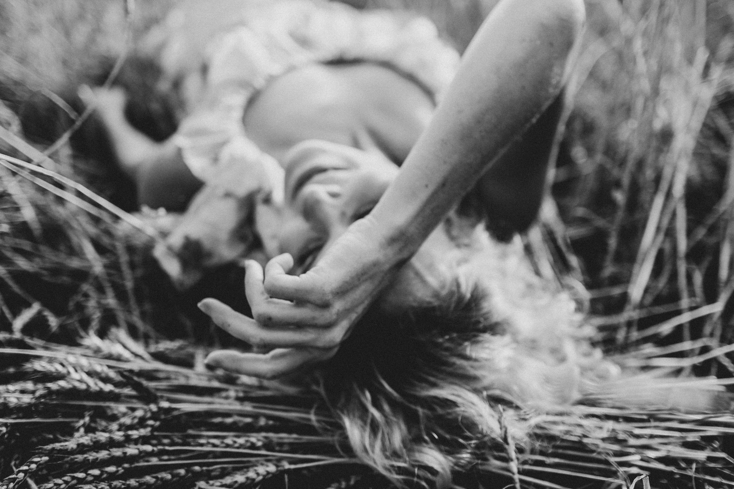 В поле. Фотограф Омск Ольга Гинжул