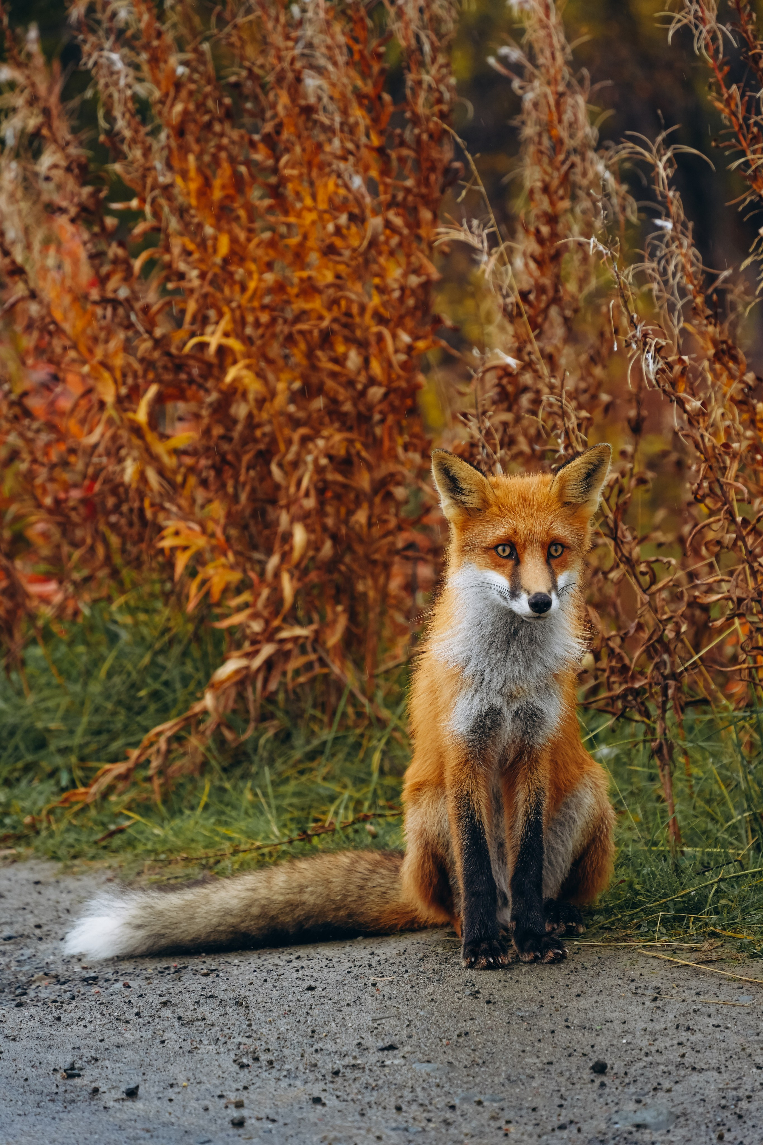 СЕВЕР. Event фотограф Степанова Александра