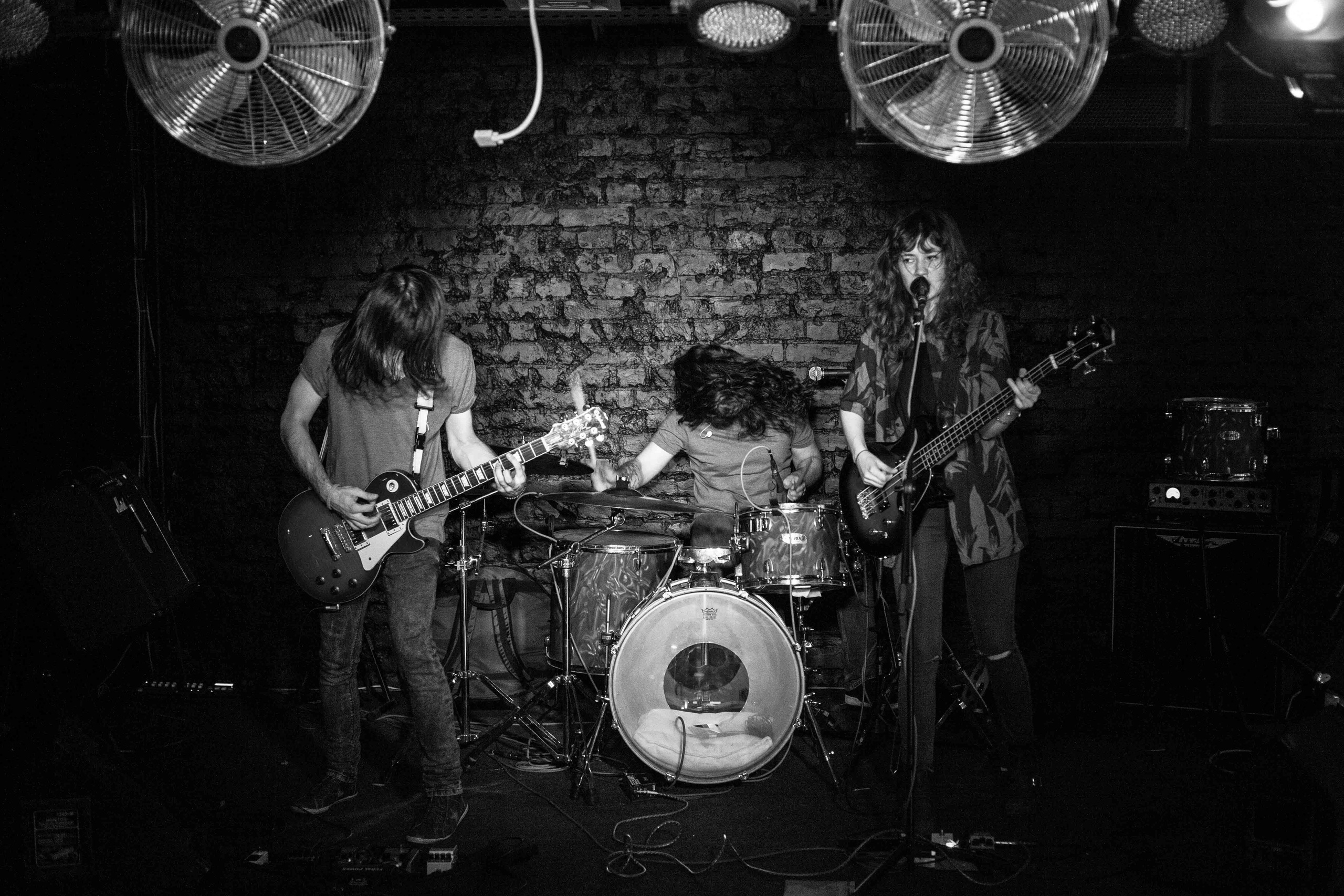 Hell Brothers. Твой фотограф — Полосатый кот