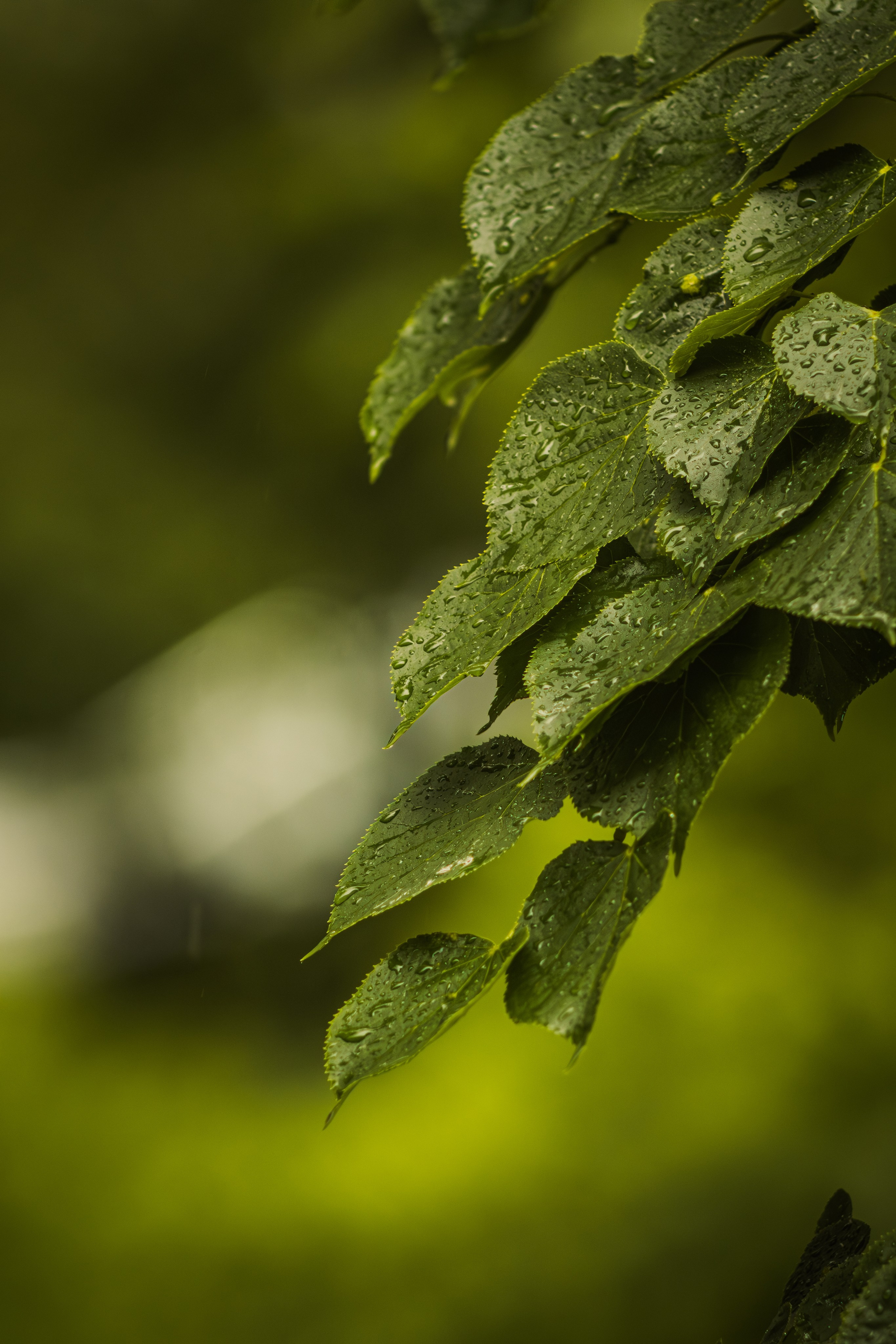 Без людей. Фотограф Крутой Максим