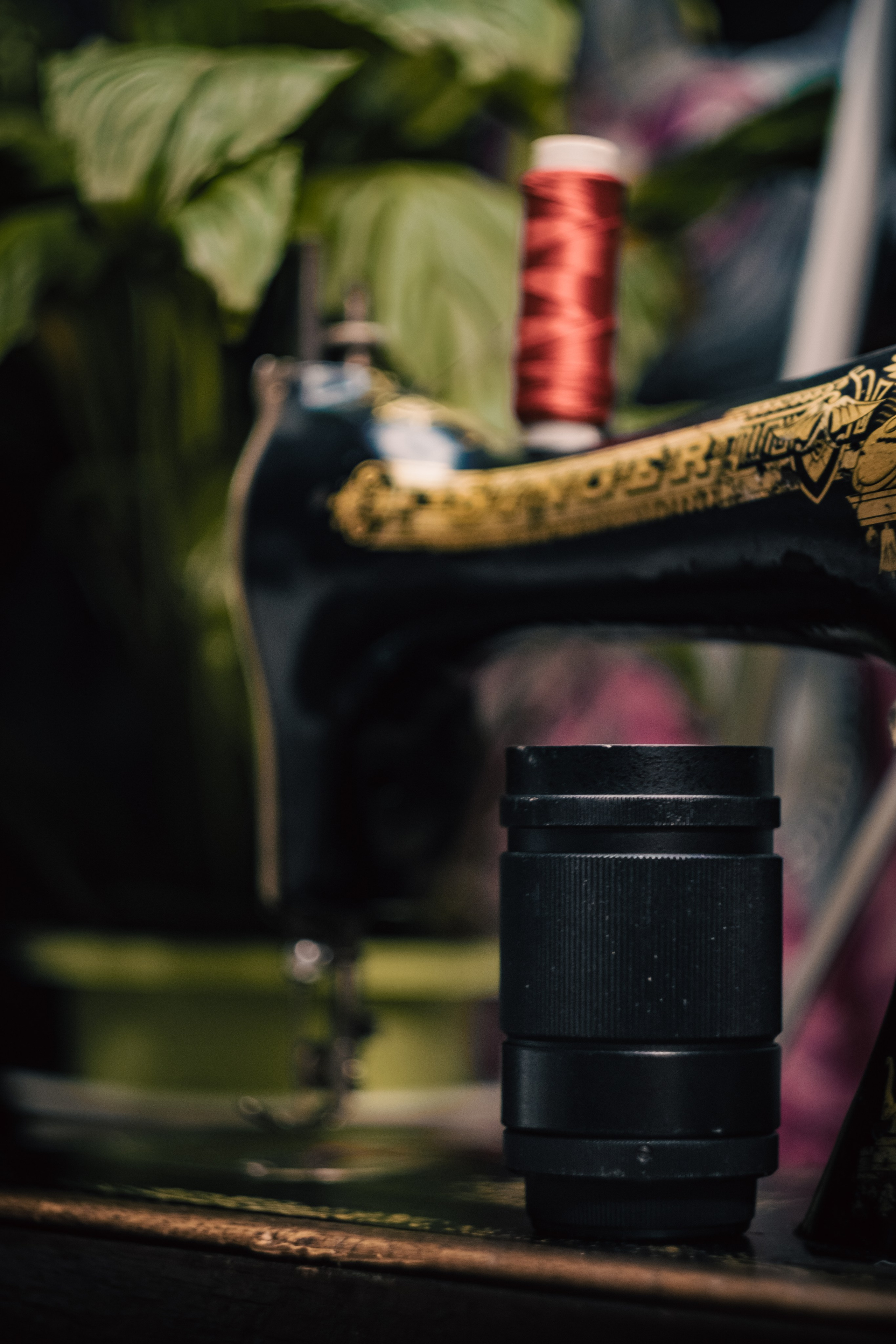 Без людей. Фотограф Крутой Максим