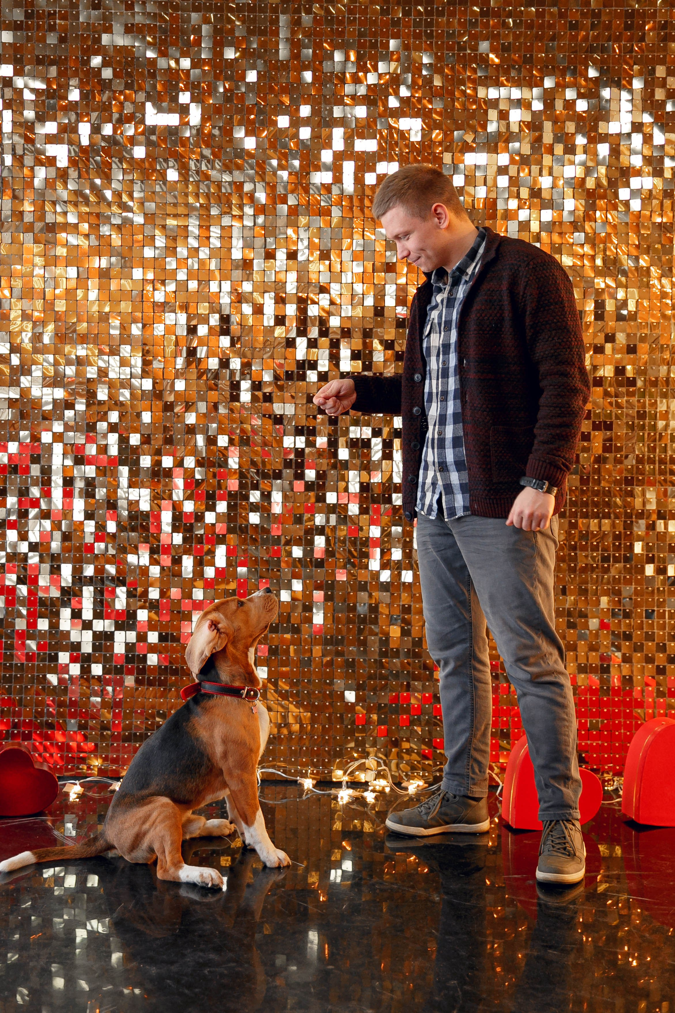 Фото студия «Фотоцех». Ваш репортажный фотограф Артемий Антонов