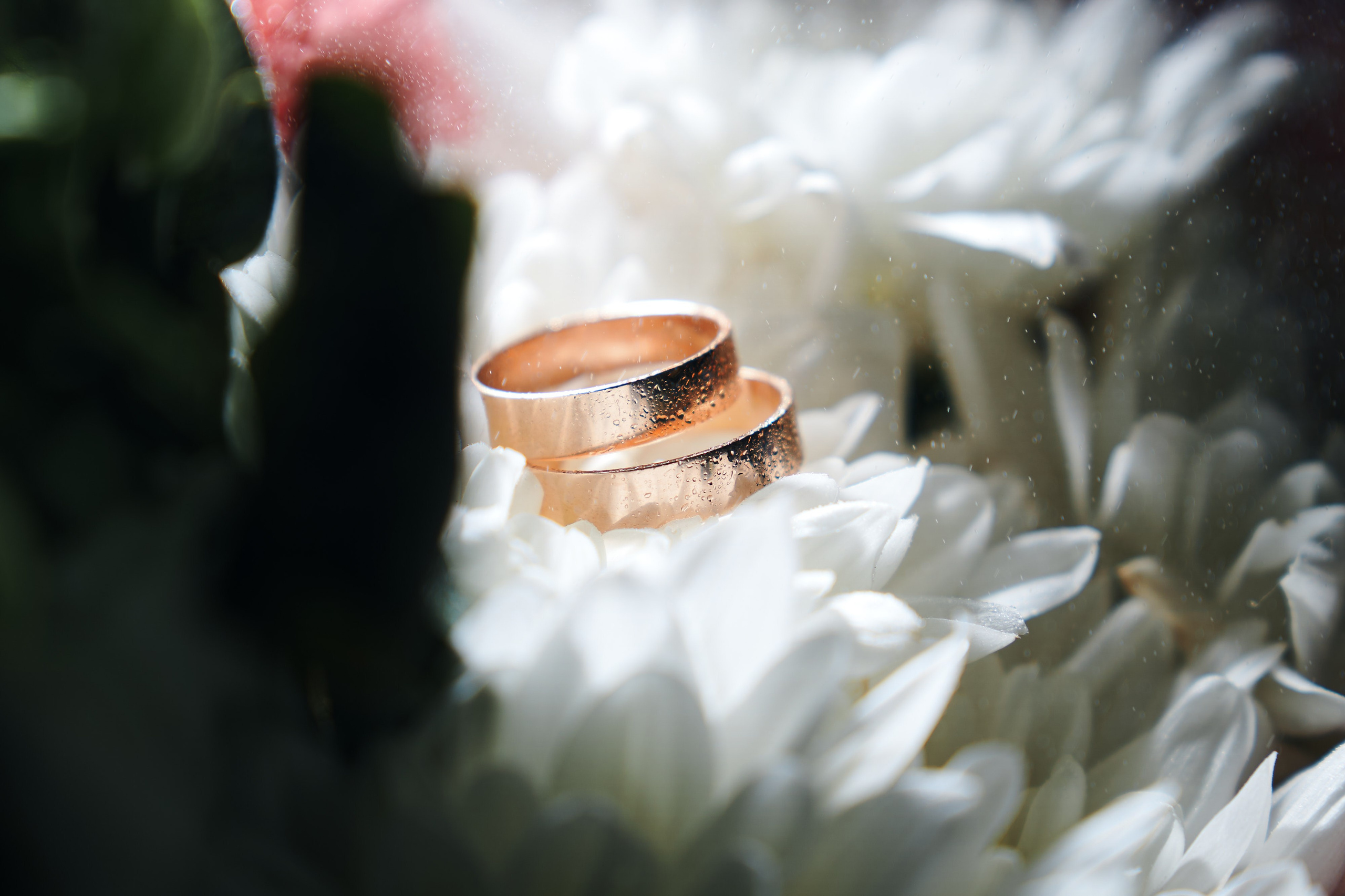 Полина и Влад. Репортажной фотограф Ариан